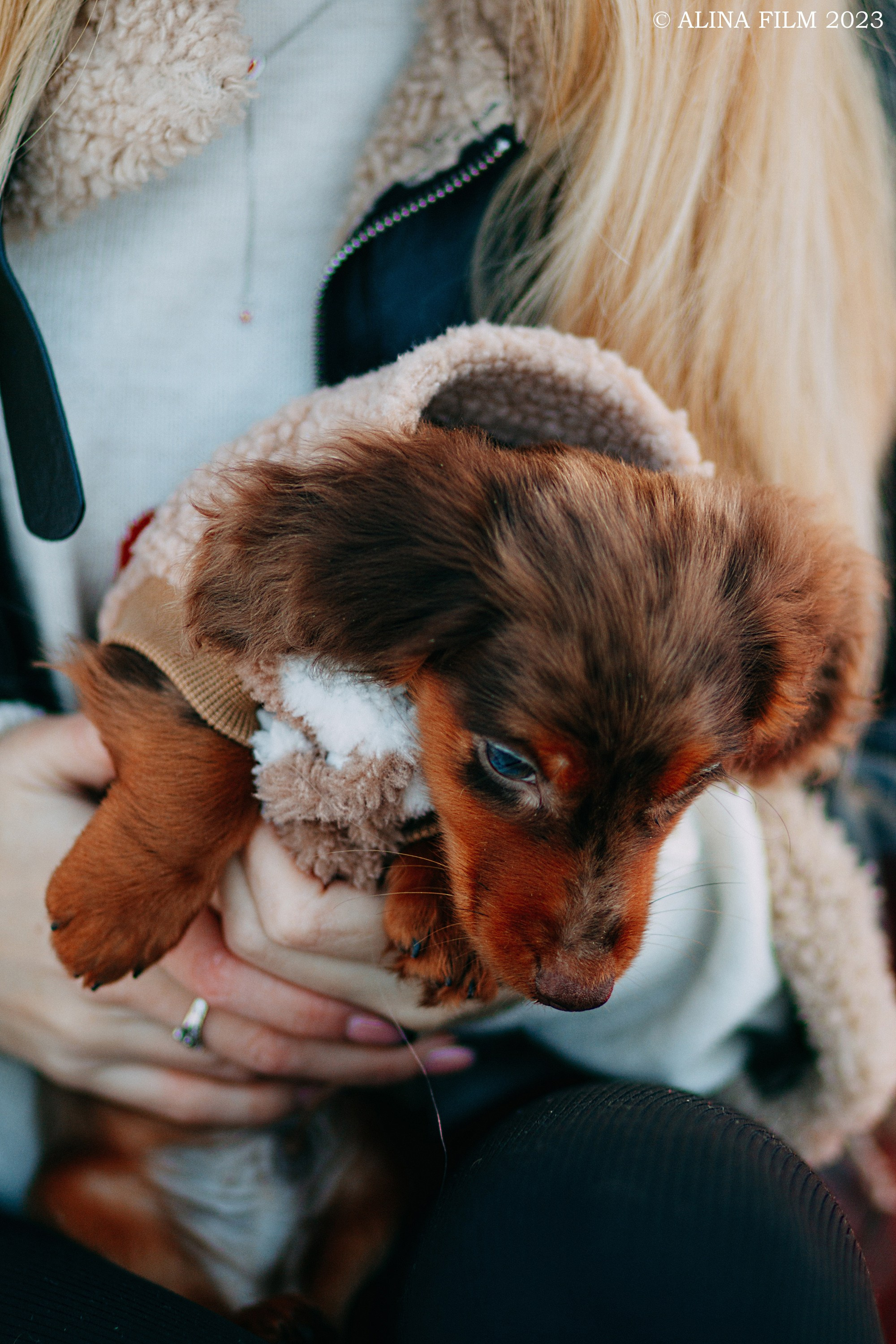 Зимняя прогулка. Фотограф в Санкт-Петербурге Alina Film