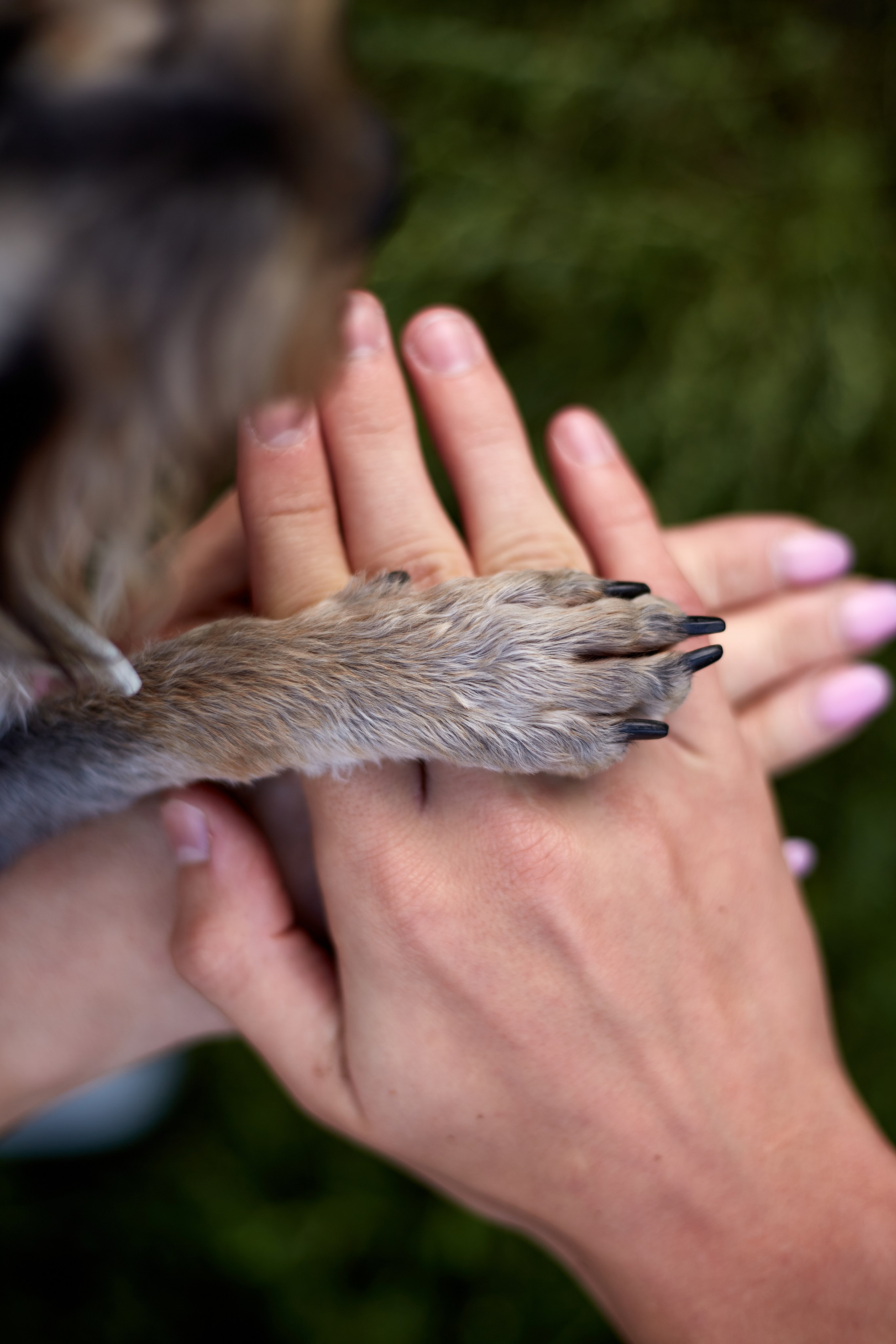 Егор, Маша, Боня