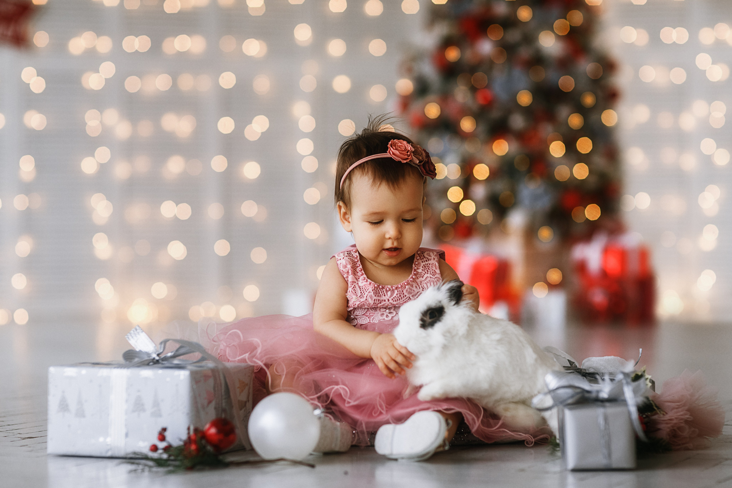 Новогодние. Фотографы в городе Волгограде — Людмила Агеева и Алексей Околелов