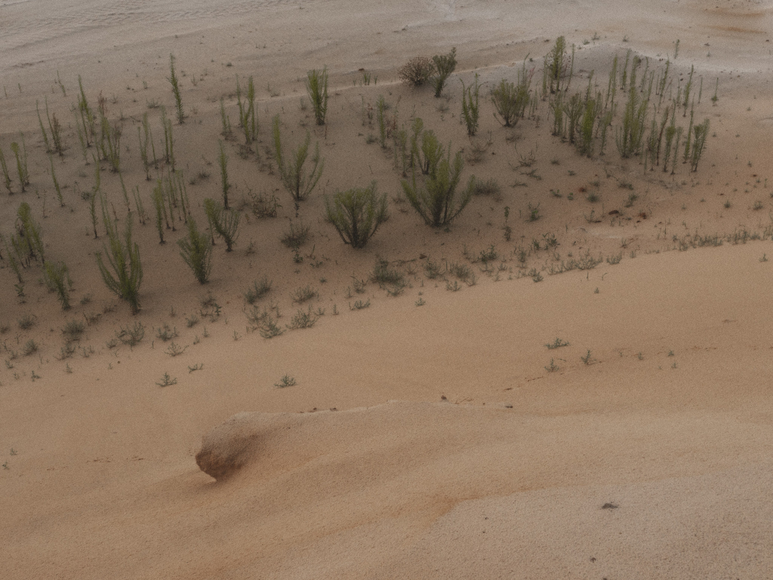 Творческая съемка Inci Ask. Анастасия Шумских [креативный продюсер]