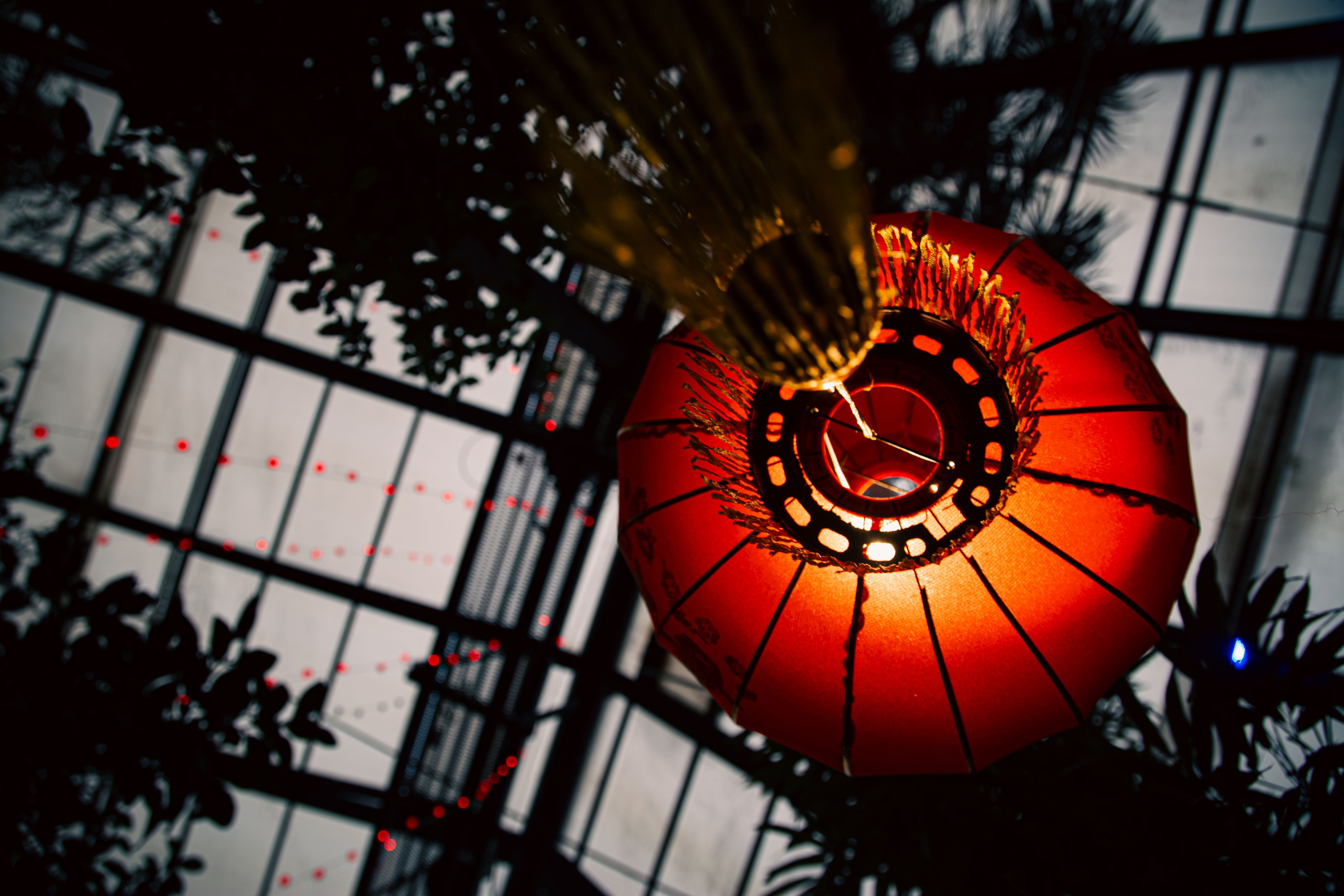 Китайский новый год 2025. Dmitriy [KCCC] is a pretty cool photographer