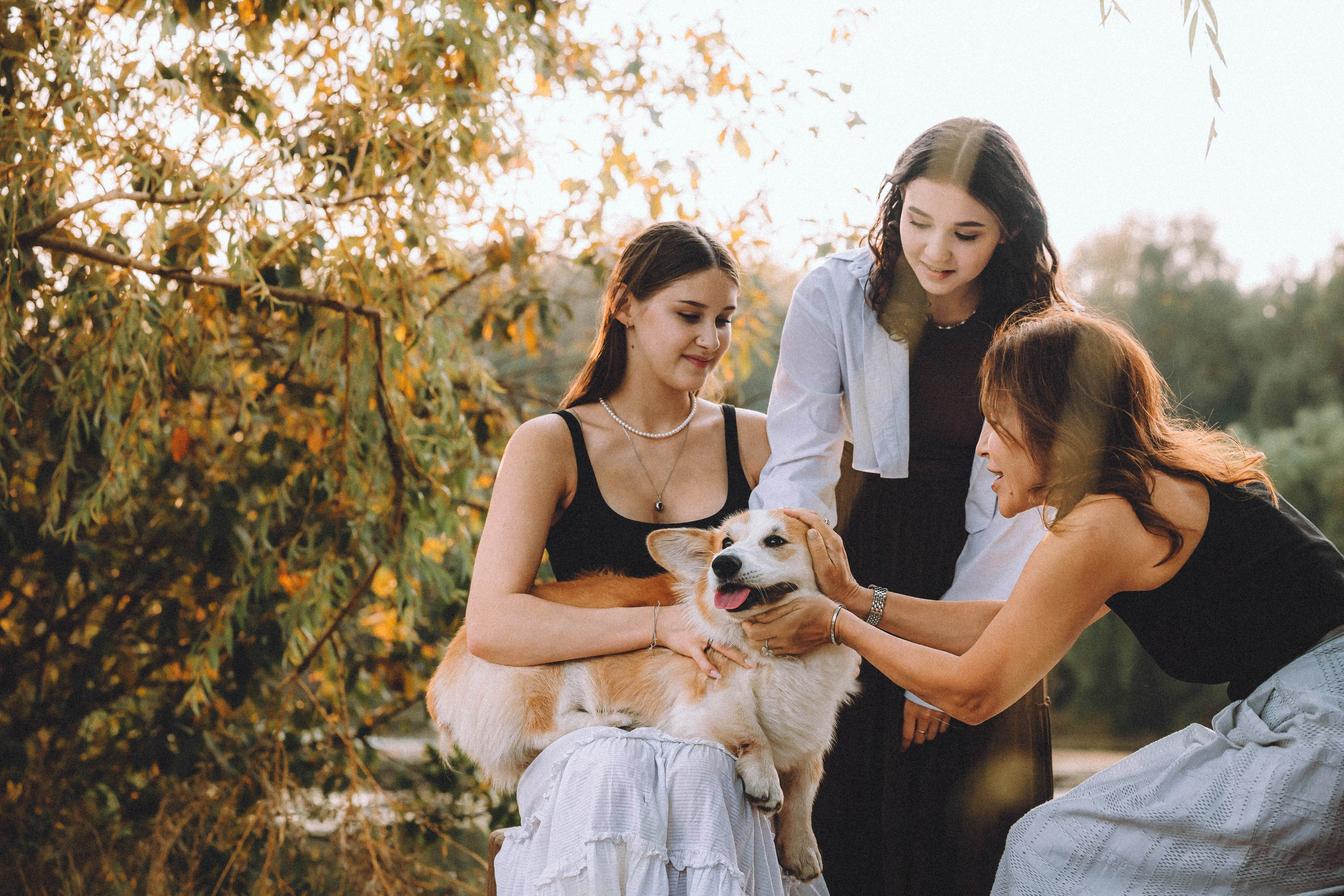 Арчи и его семья