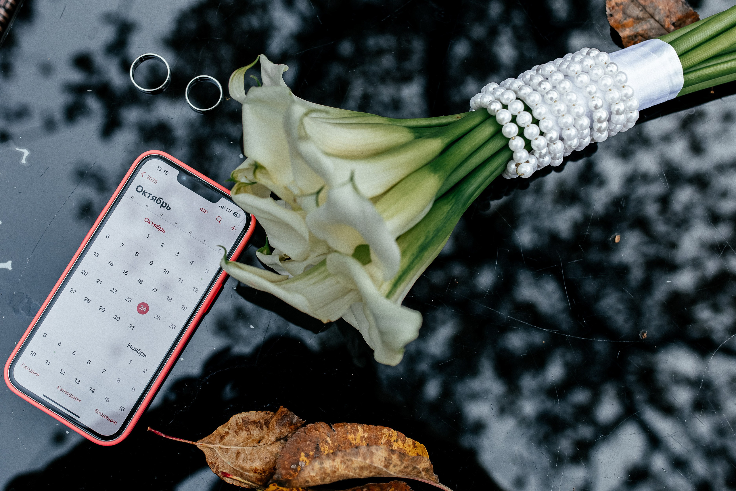 Ирина и Максим. Домодедовский ЗАГС и прогулка. Профессиональный фотограф, Москва |Видное Елена Елизарова