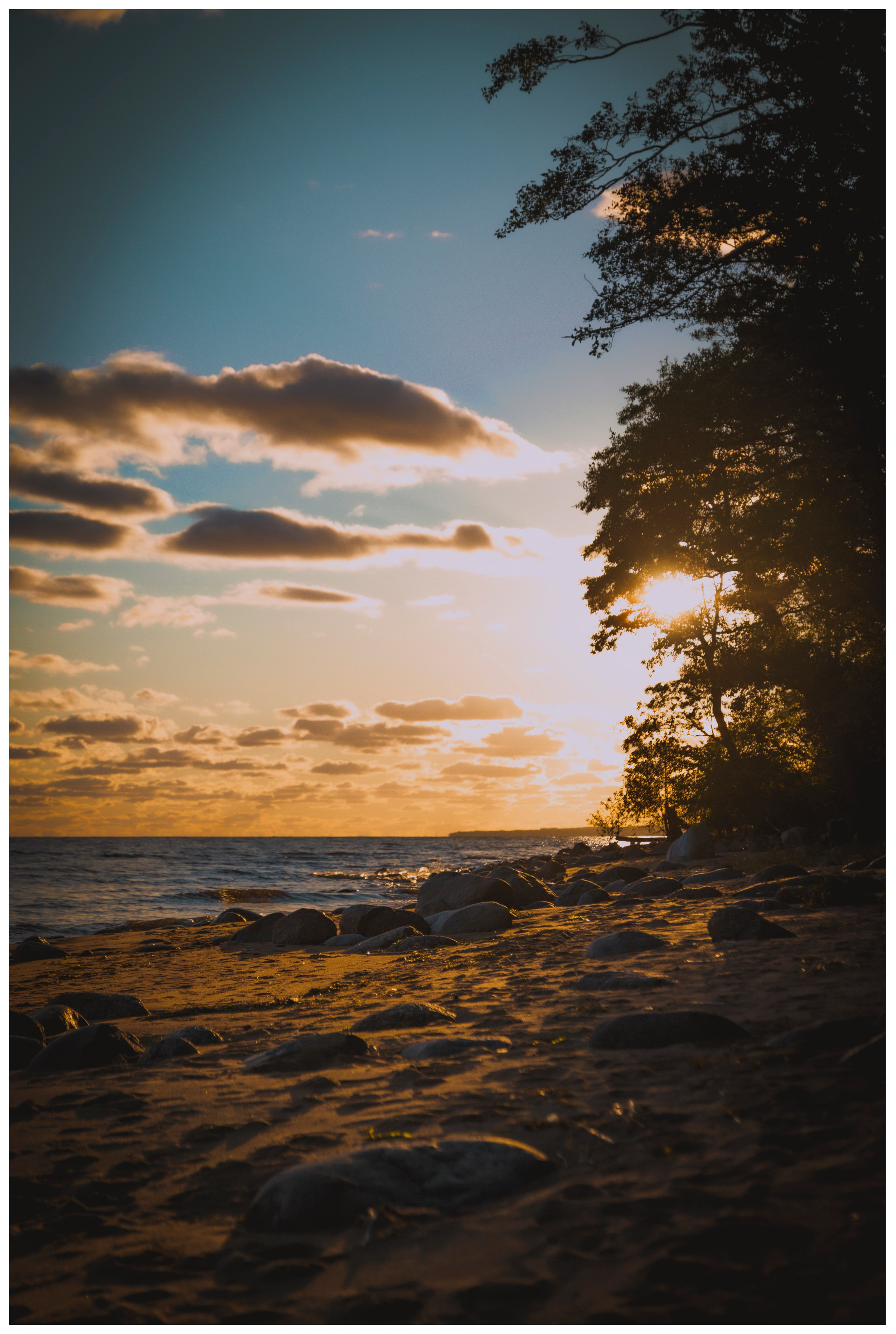 Из наблюдений. Плак или Квак