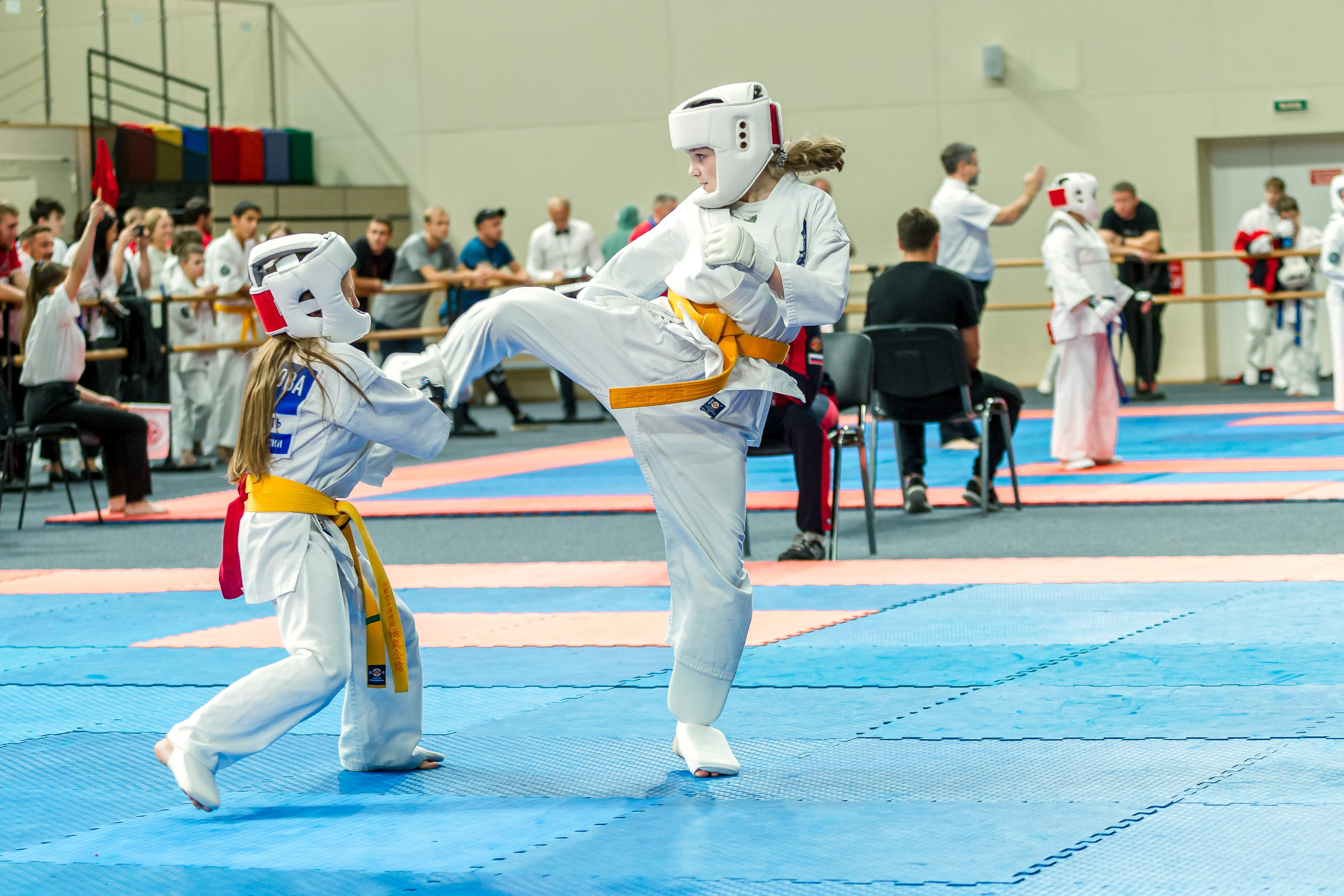 Первенство Московской области по Киокушин в СК «Жаворонки». Репортажная съемка в Москве и области. Анималистика