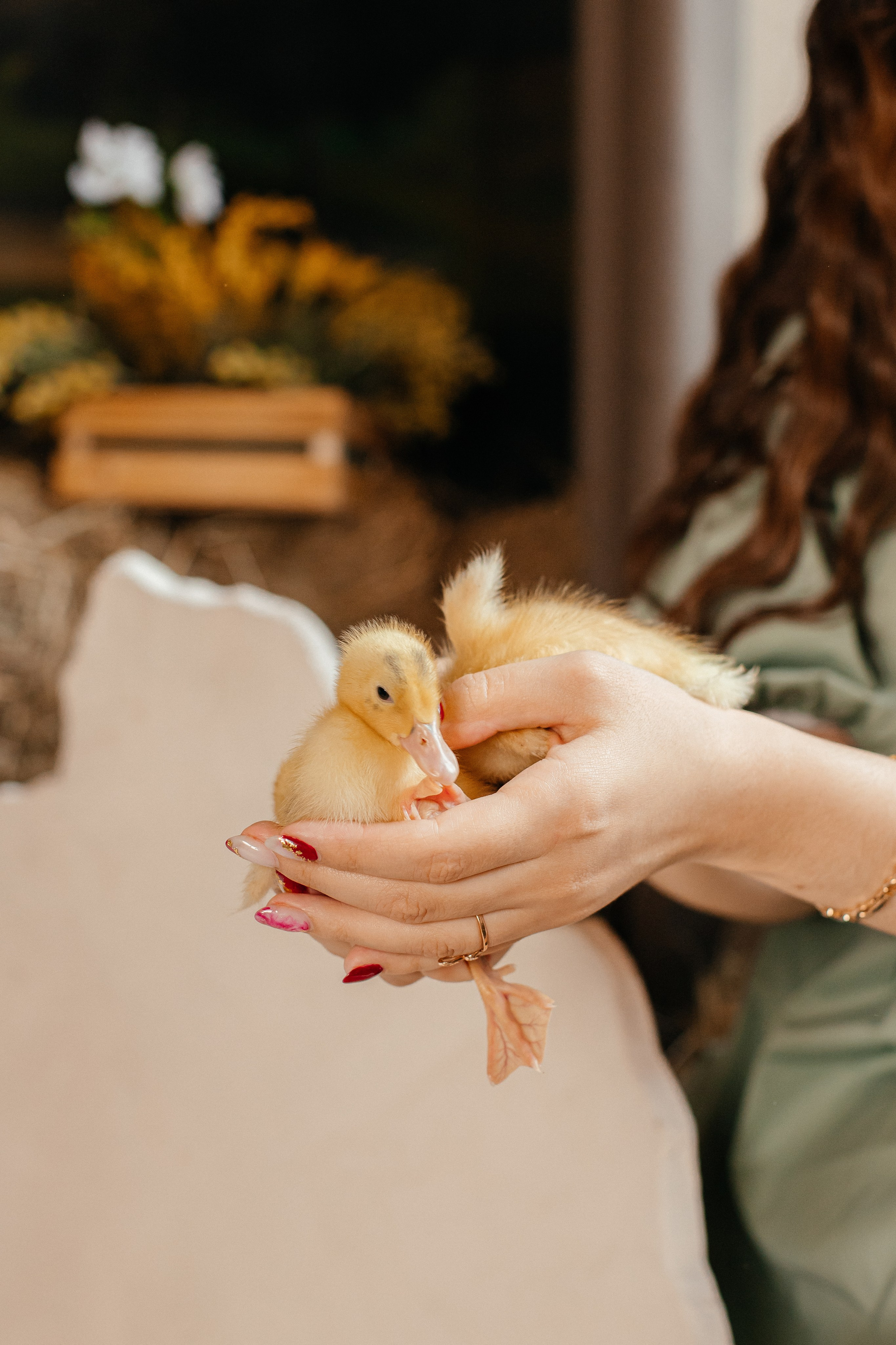 Диана и Анита. Elena Sova — семейный и женский фотограф в Санкт-Петербурге