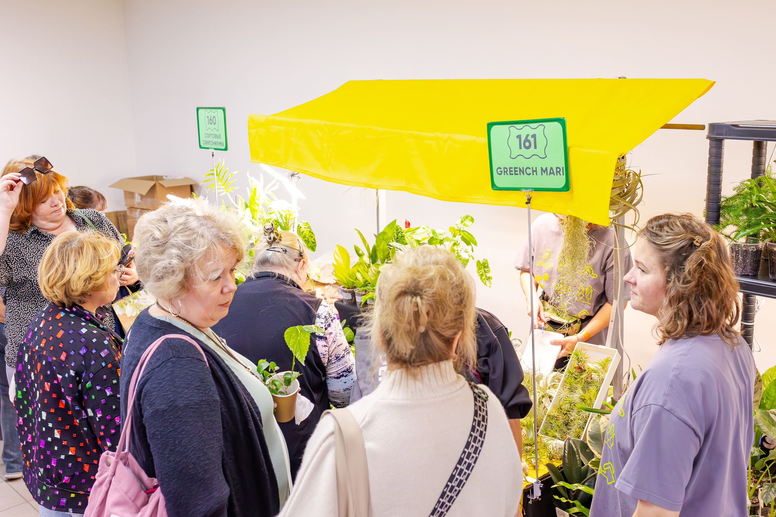 Орхидиум сентябрь 2025. Александра Куликова фотограф, Москва