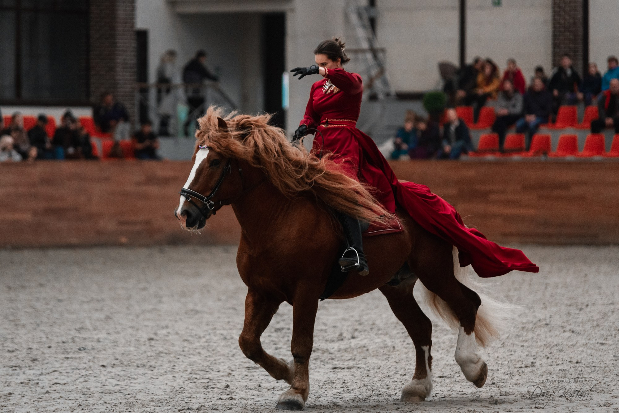 8-я международная выставка Конная Россия. Конный фотограф Куракина Дарья • Фотосессии с лошадьми