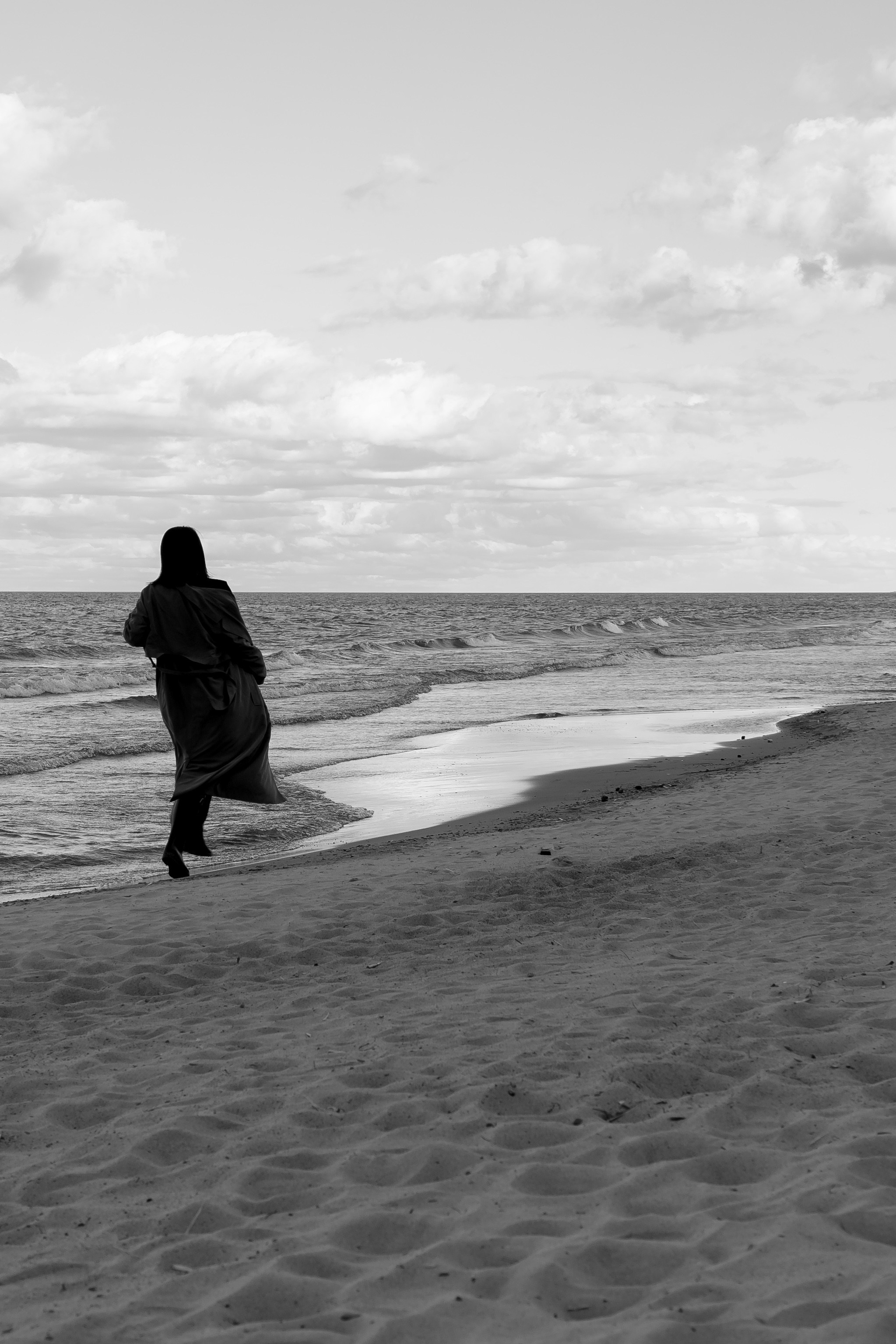 Розы. Профессиональный фотограф, Санкт-Петербург — Виктория Богомолова