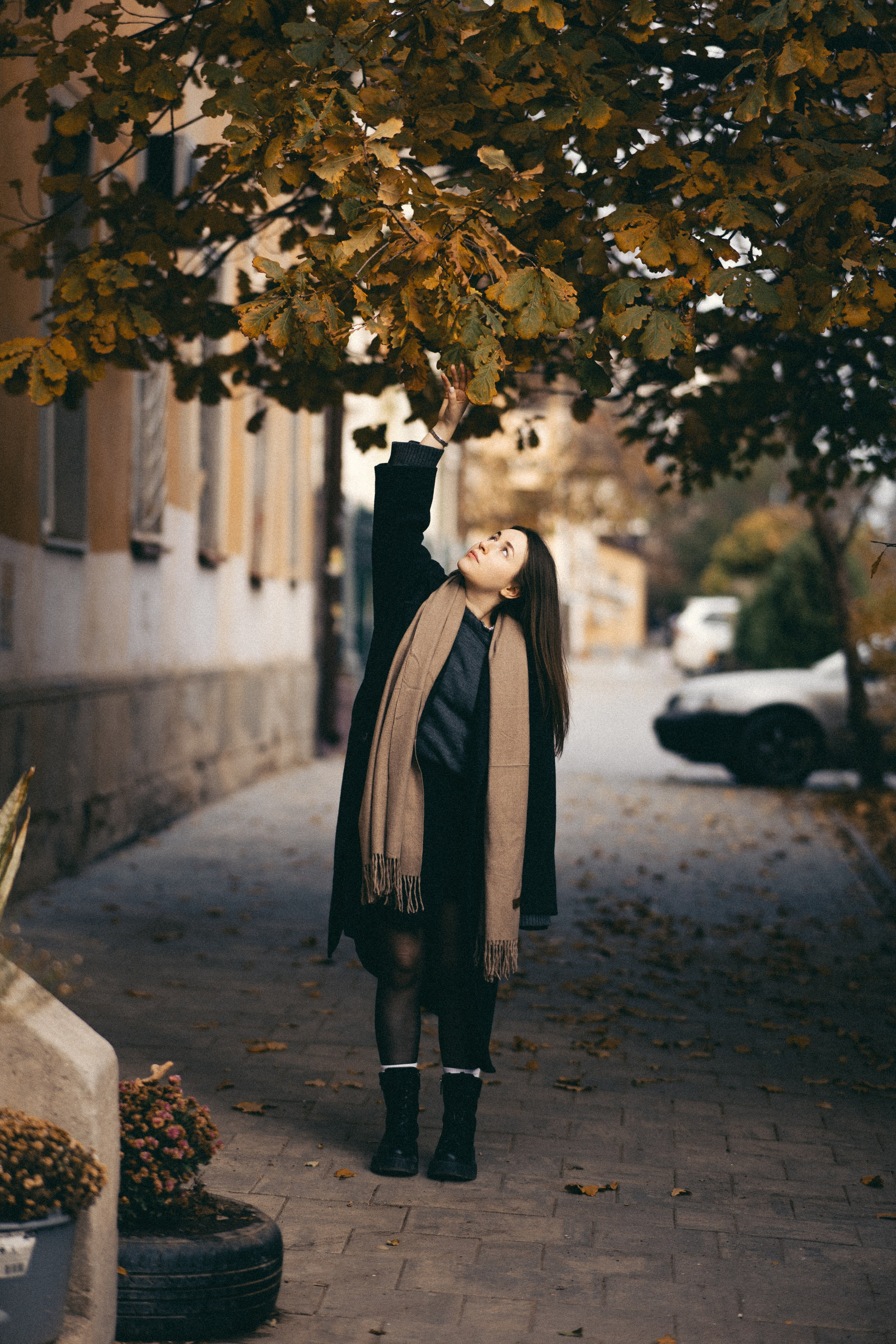 Алёна. Даша Царёва, фотограф