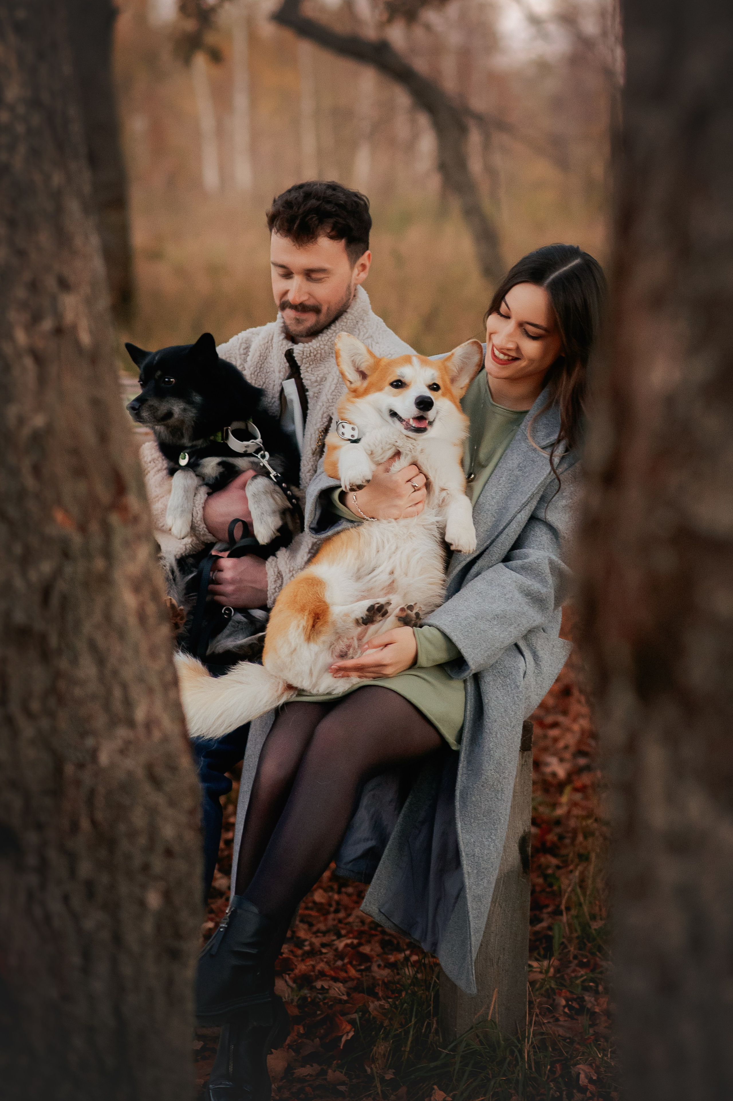 Максим, Надя, Рой и Шелби — 13.10.2024. Фотограф — Анималист | Анна Абрамова