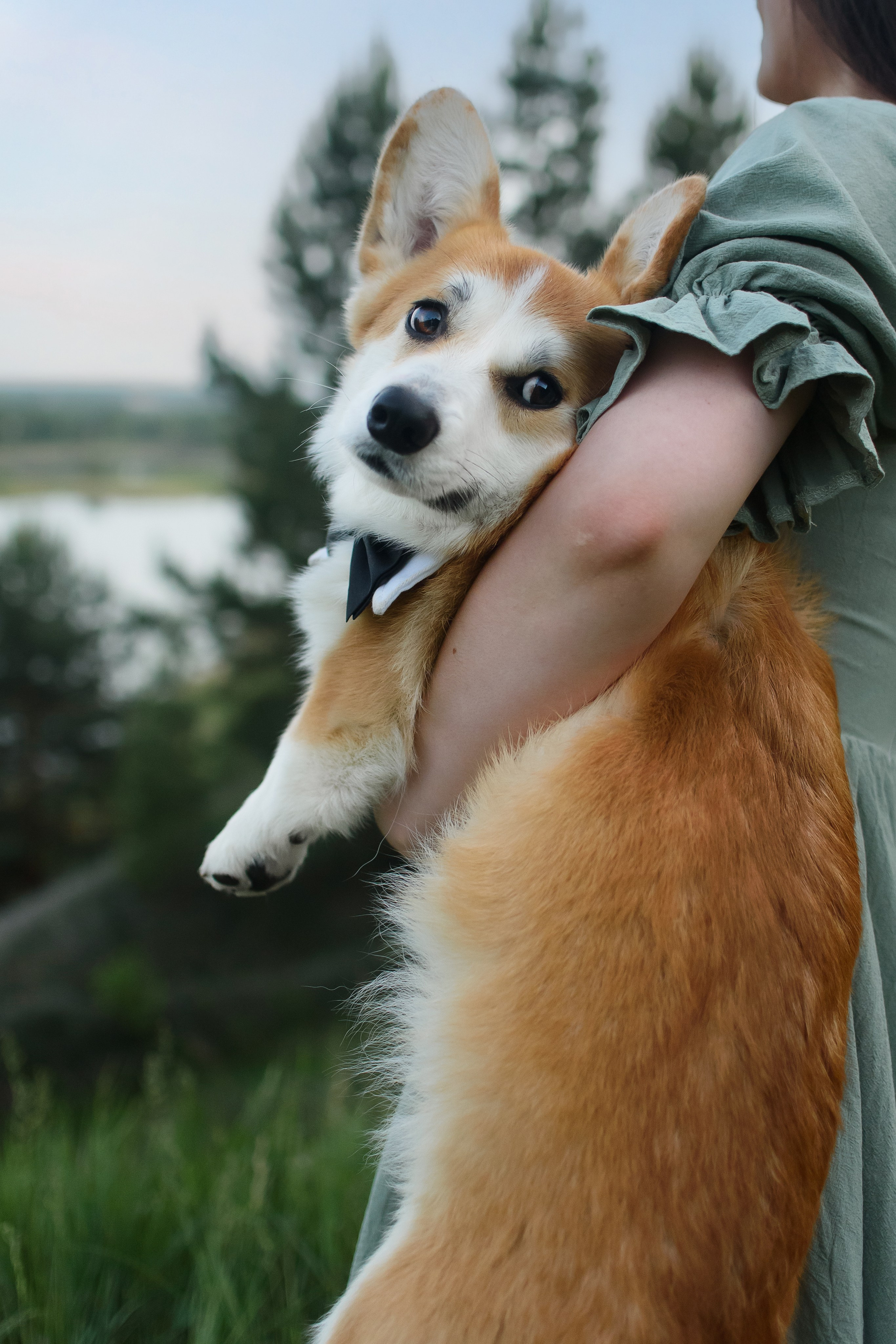 Максим, Надя, Шелби и Рой — 31.05.2025. Фотограф — Анималист | Анна Абрамова