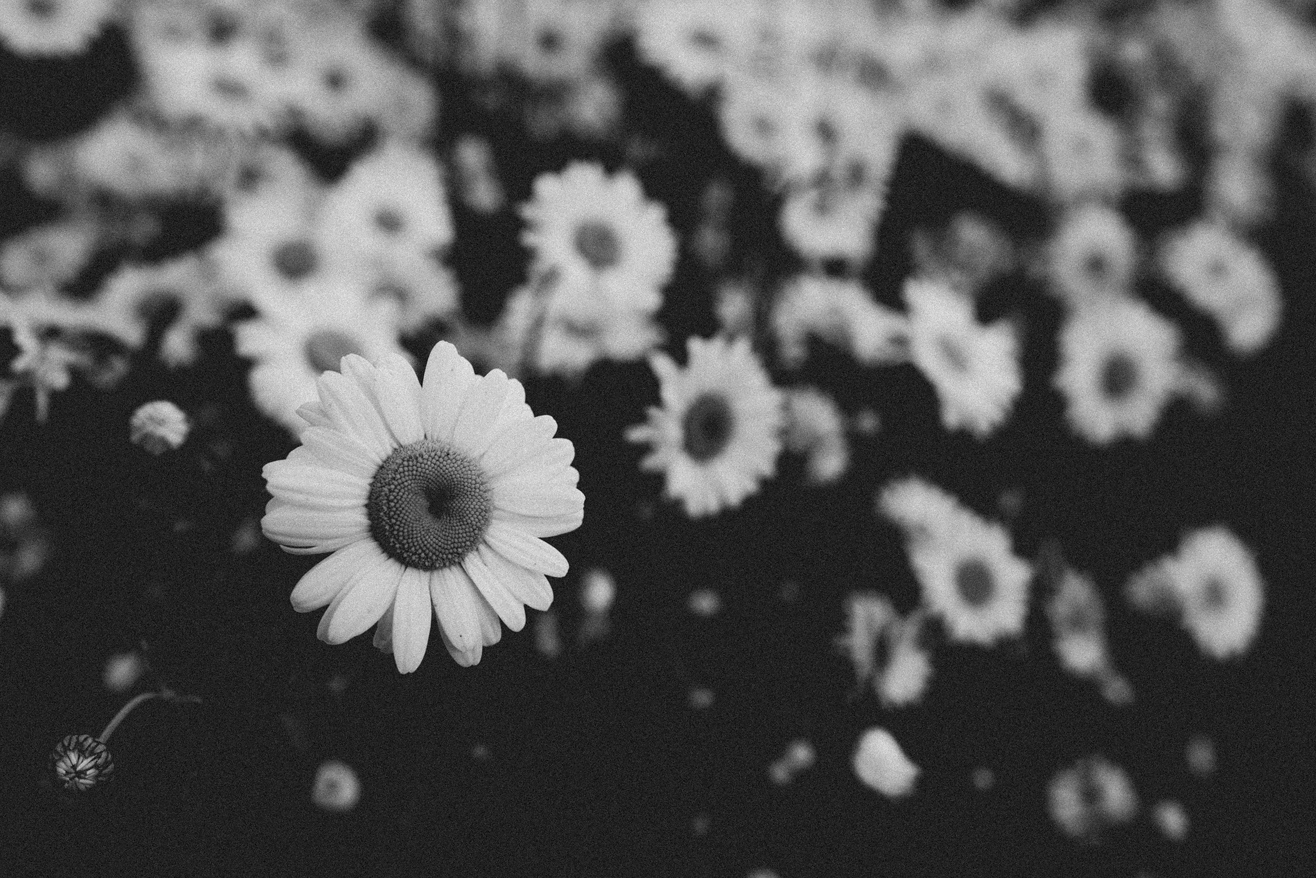 В лесу. Фотограф Владимир Орлов