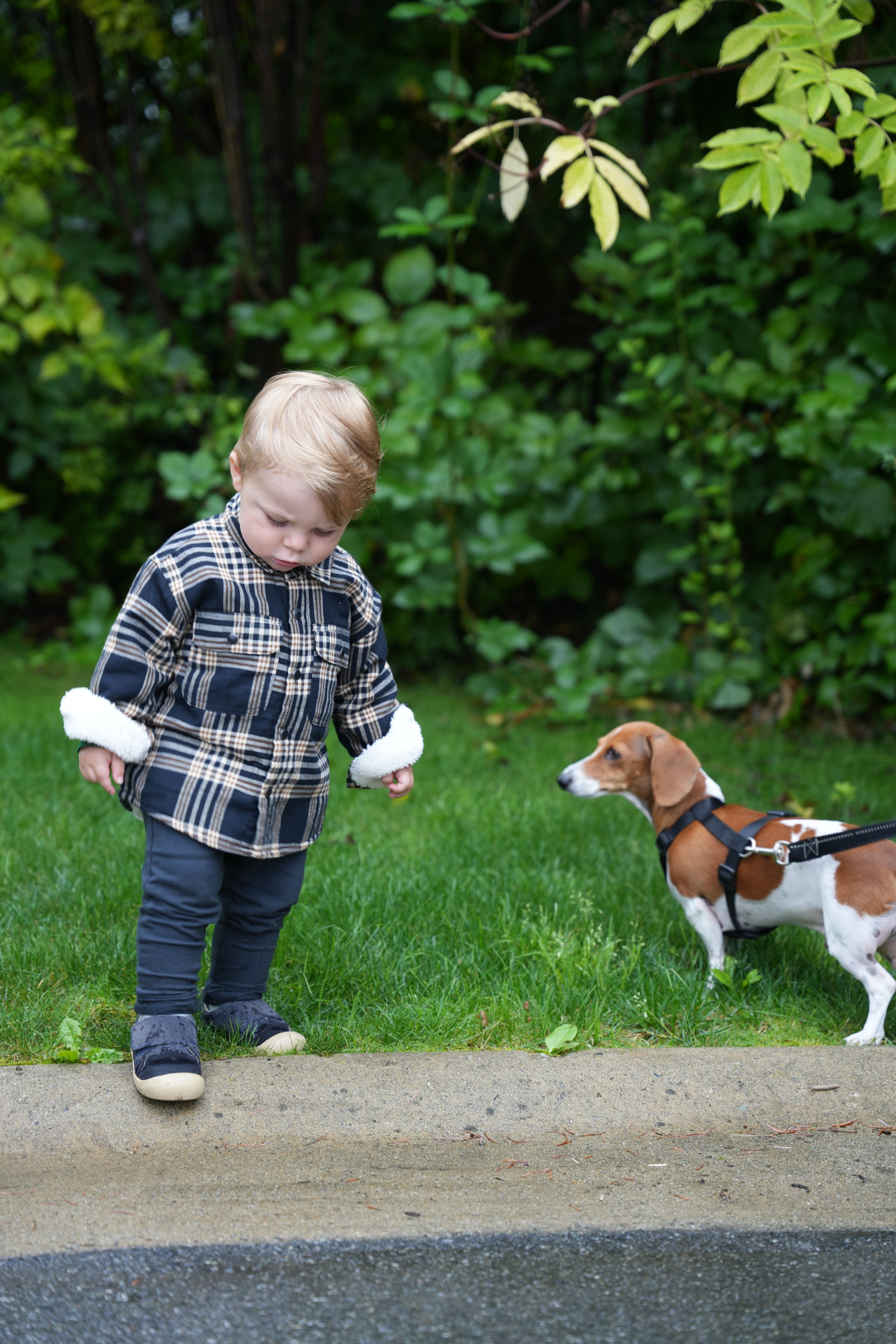 Family and Events shoots in Phuket