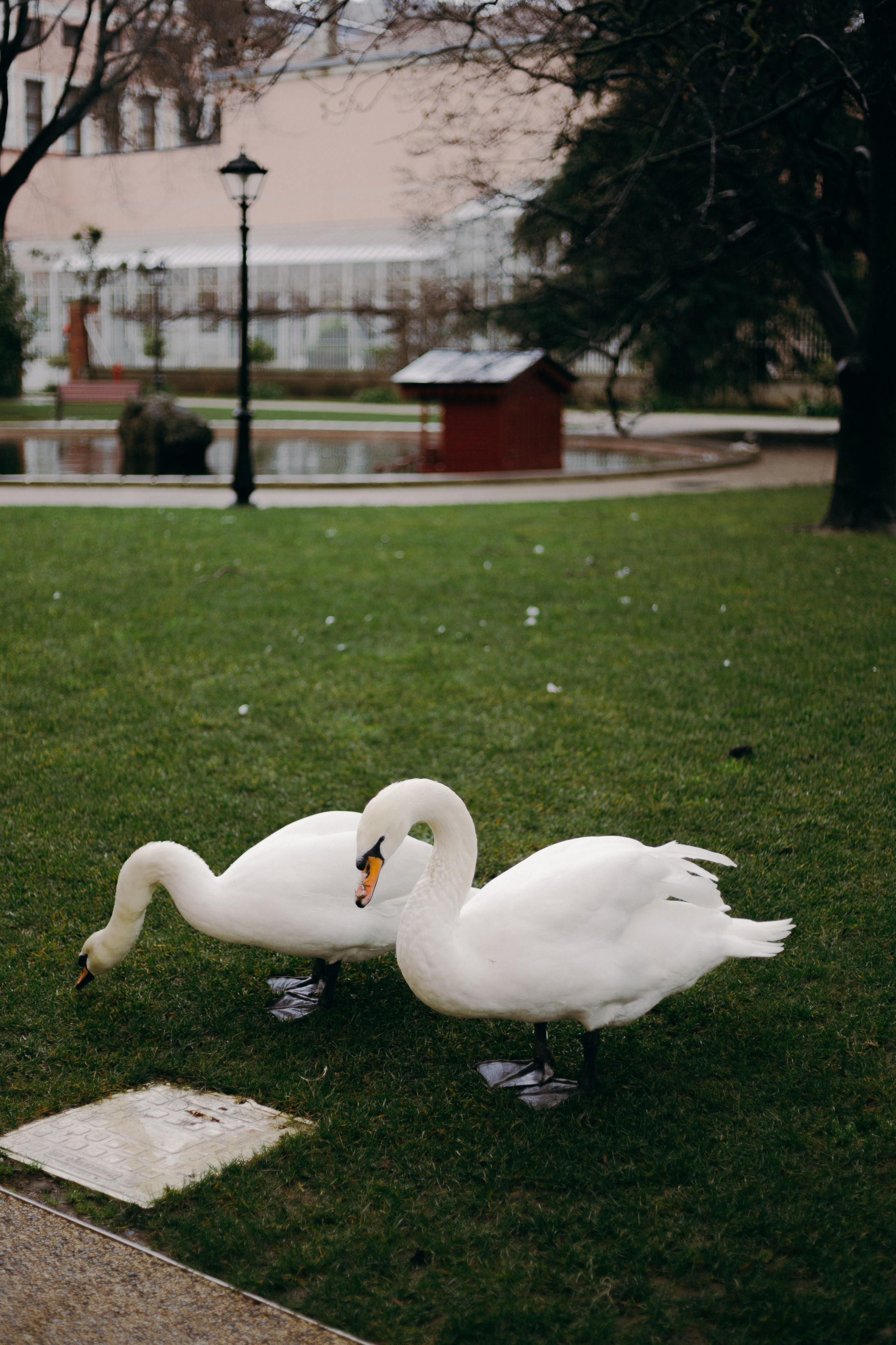 Стамбул. Профессиональный Фотограф во Владимире, в Москве и в Суздале — Полина Романычева