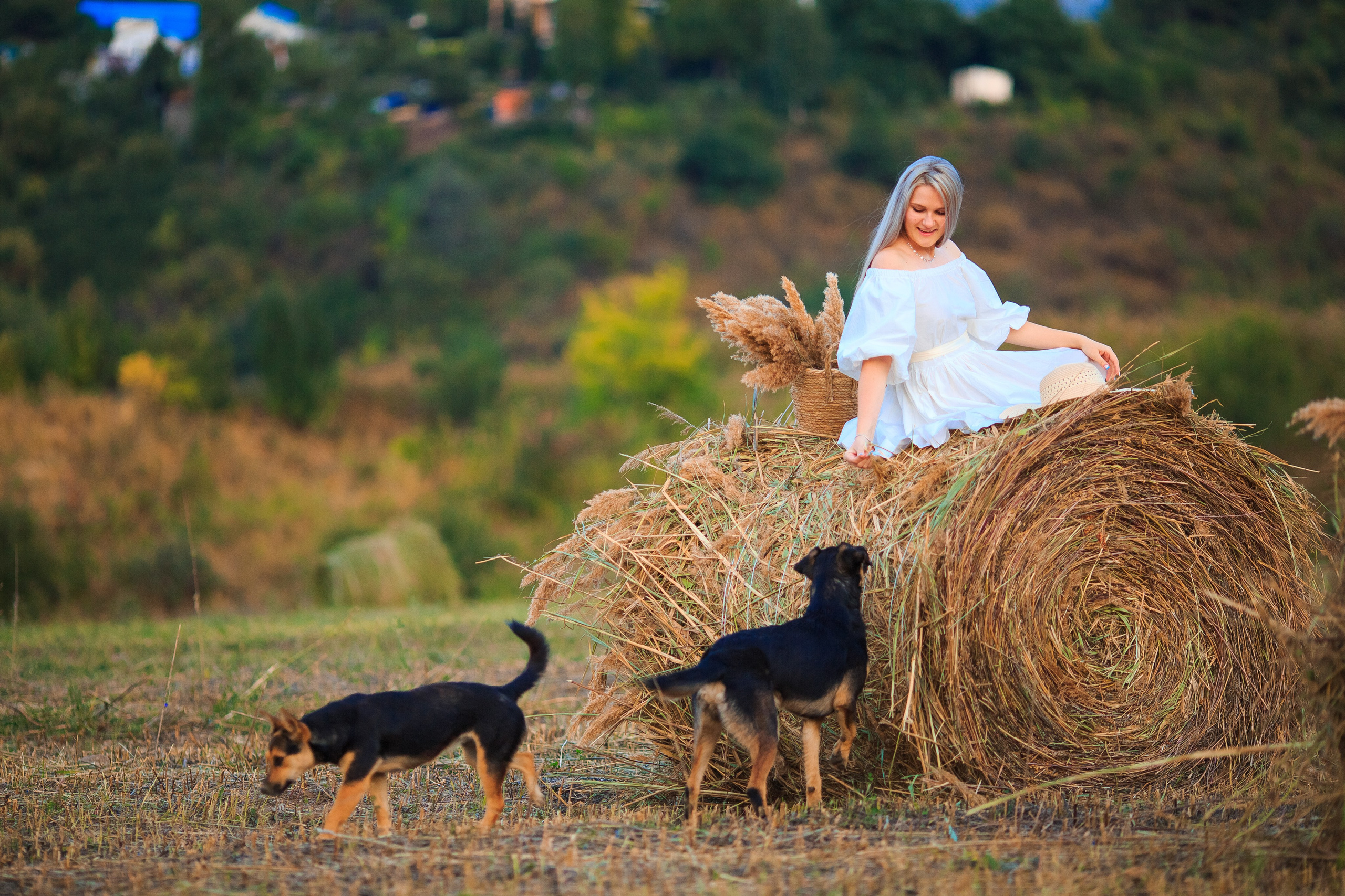 Фотосессия в стогах Алматы. Свадебный и семейный фотограф в Алматы Алексей Балышев