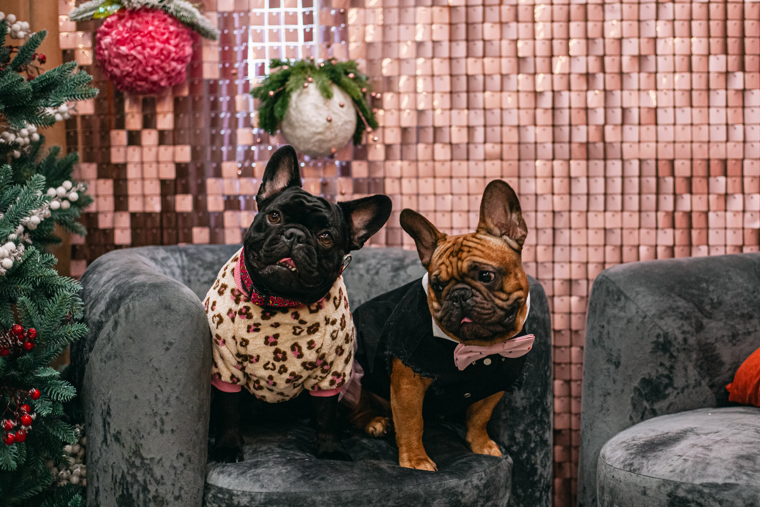 Бульёлка 2024. Фотограф-анималист Татьяна Степанова