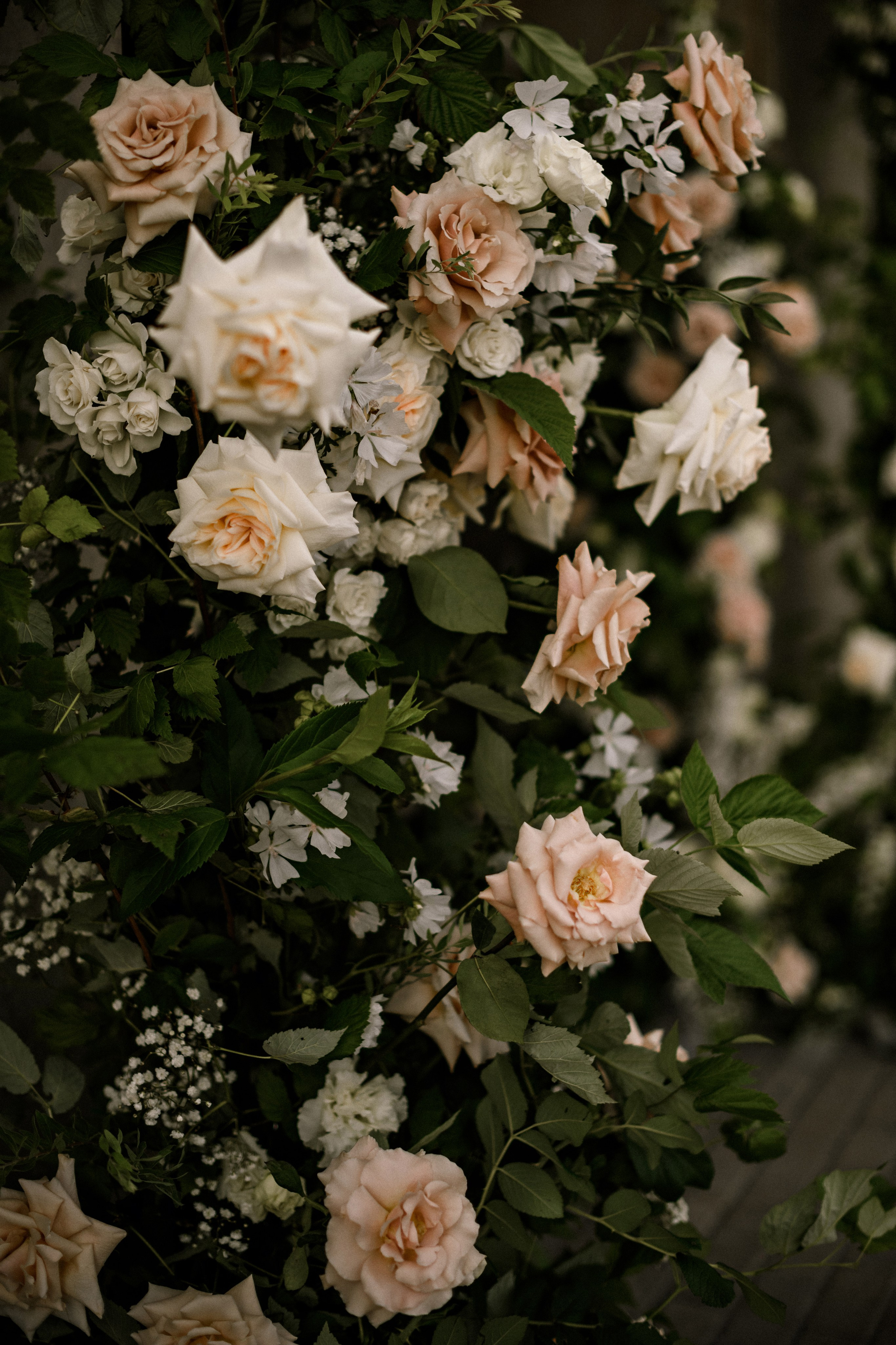 07/07/24 Настя и Рома. Свадебный фотограф в Санкт-Петербурге София Шубик
