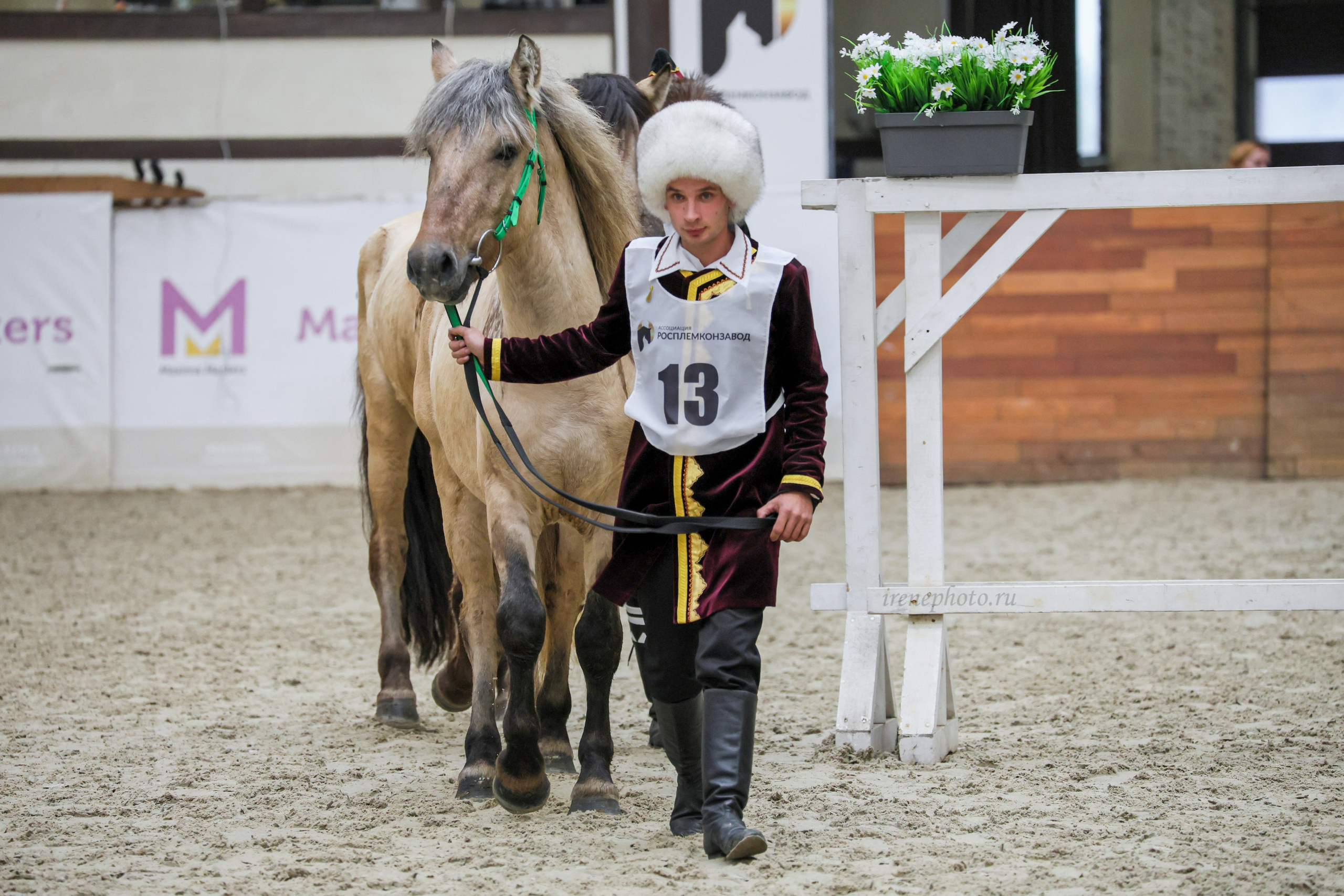 Конная Россия 2024. Irenephoto.ru