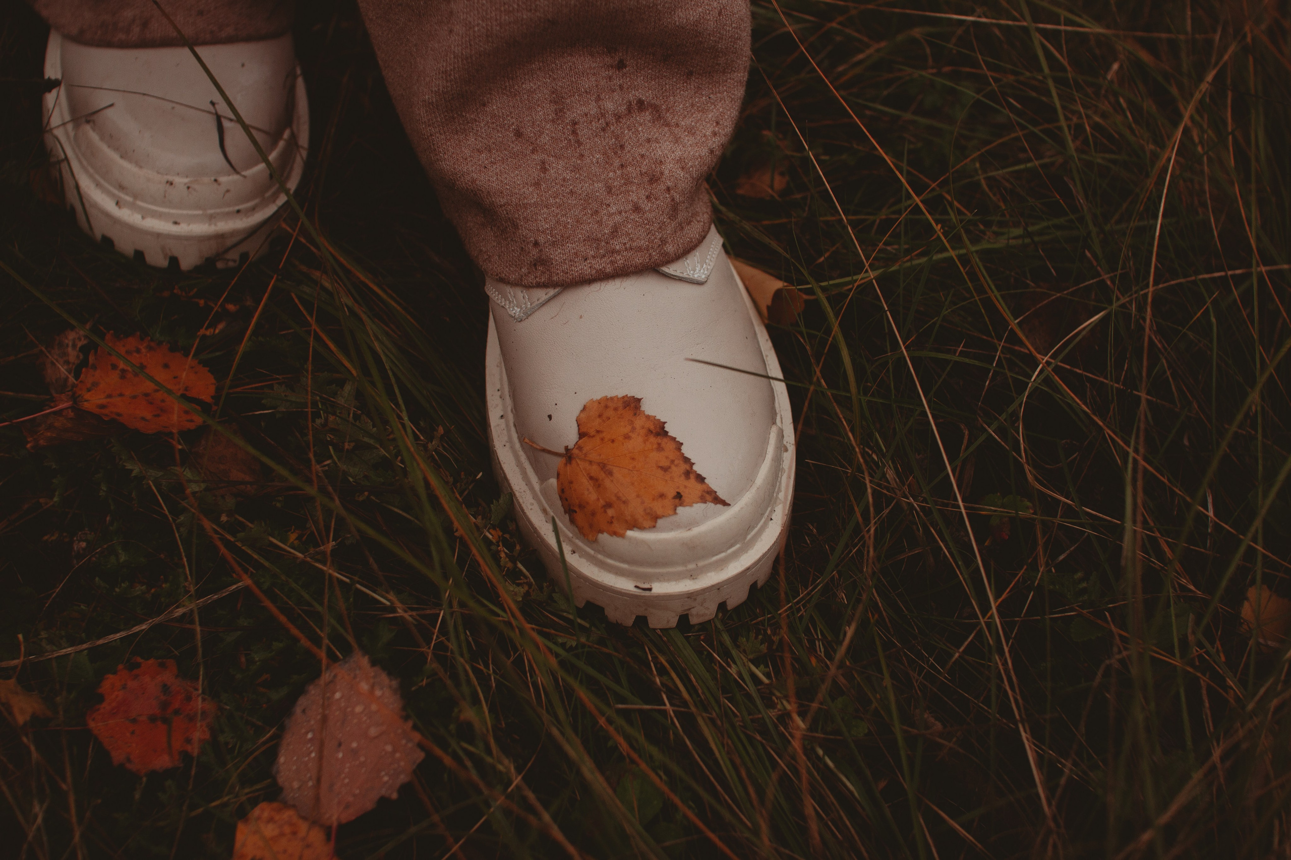 Зубовы Family Осень. Фотограф в Челябинске Филимонова Дарья