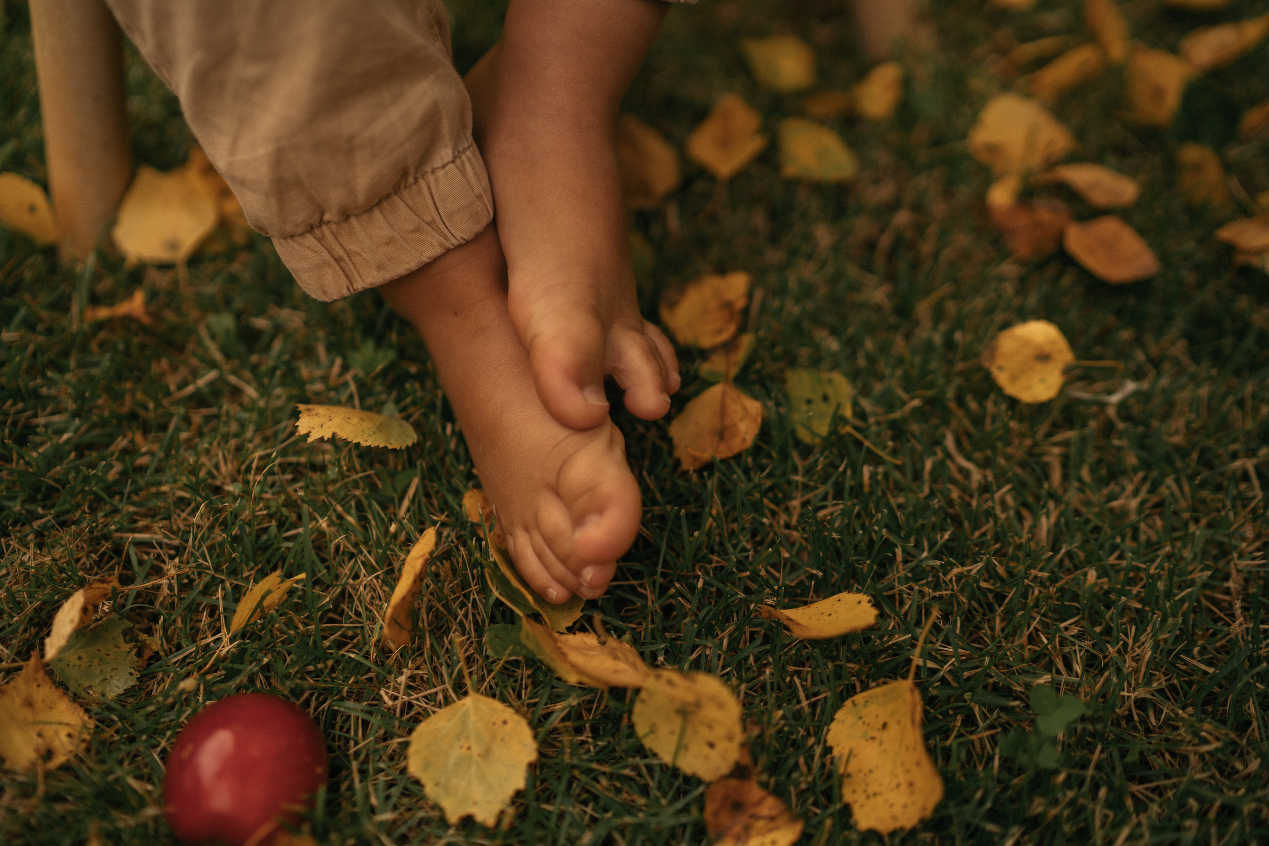 Яблочный Спас. Семейный и детский фотограф Москва Дарья Бугра