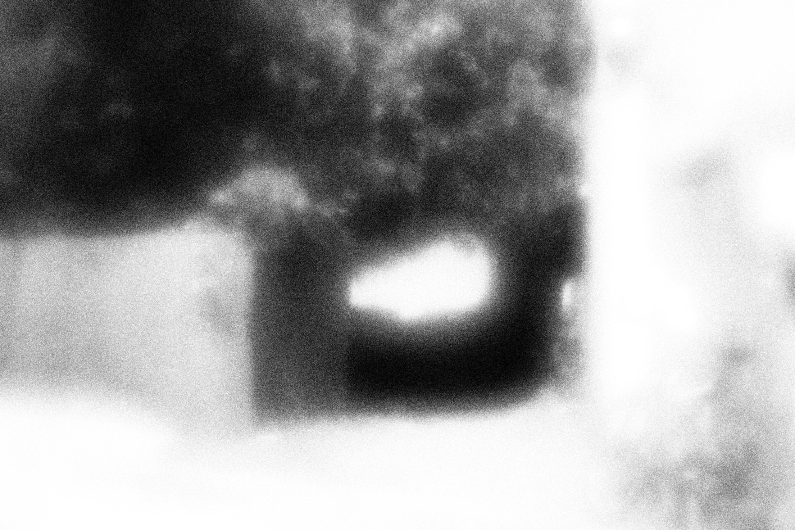 «Видеть. Чувствовать. Сохранять»