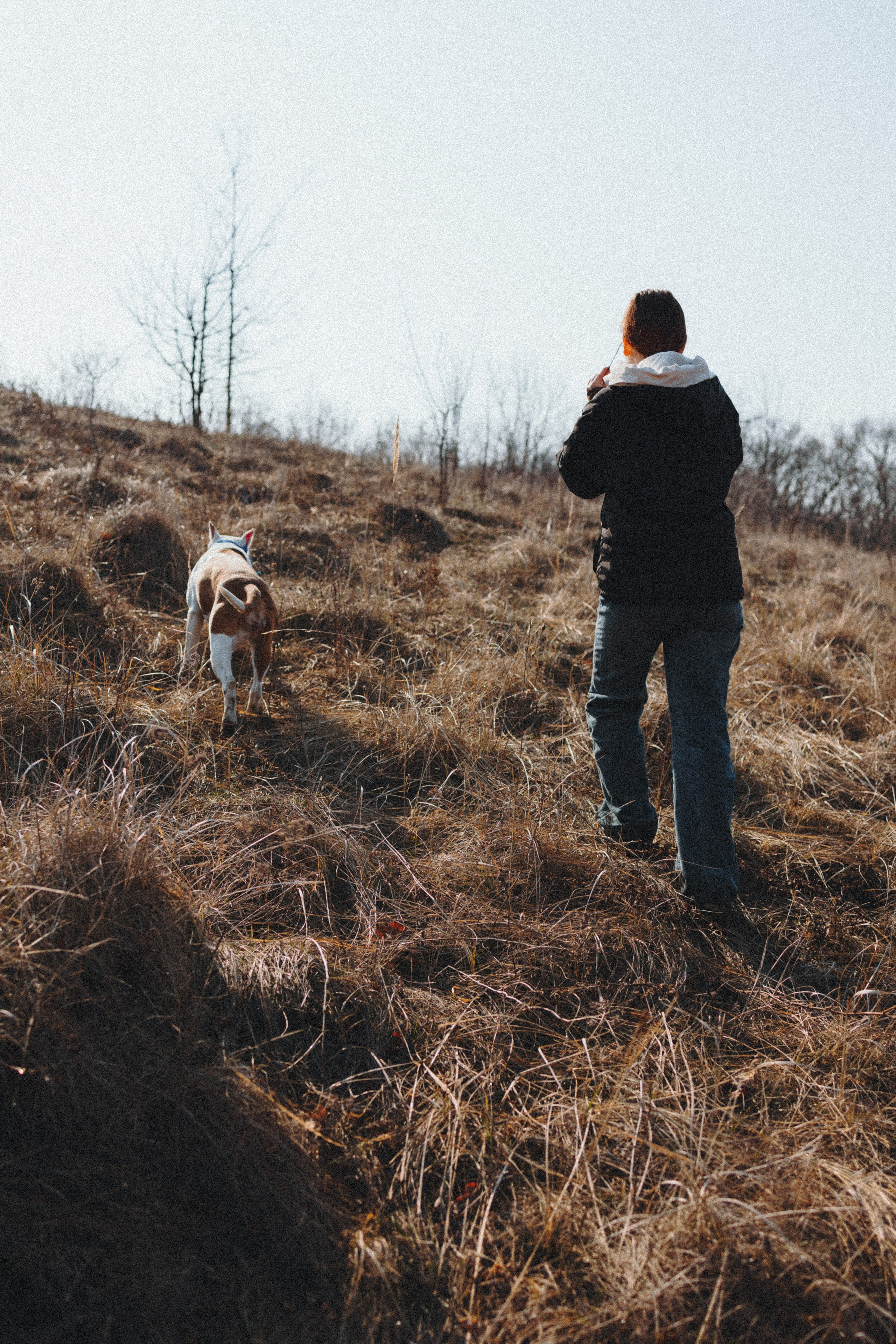 Лера, Ума и Винни. Фотограф — анималист Светлана Кысса|фотограф собак в Краснодаре и Нижнем Новгороде