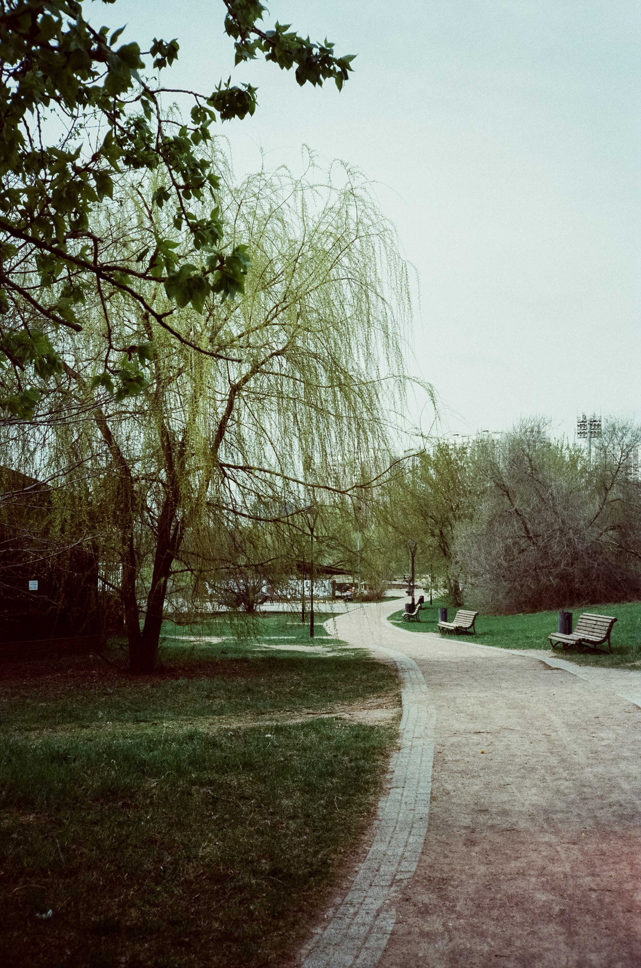 Ricoh 500GS / SFL 200T / Строгино тестовая пленка апрель 2024 г