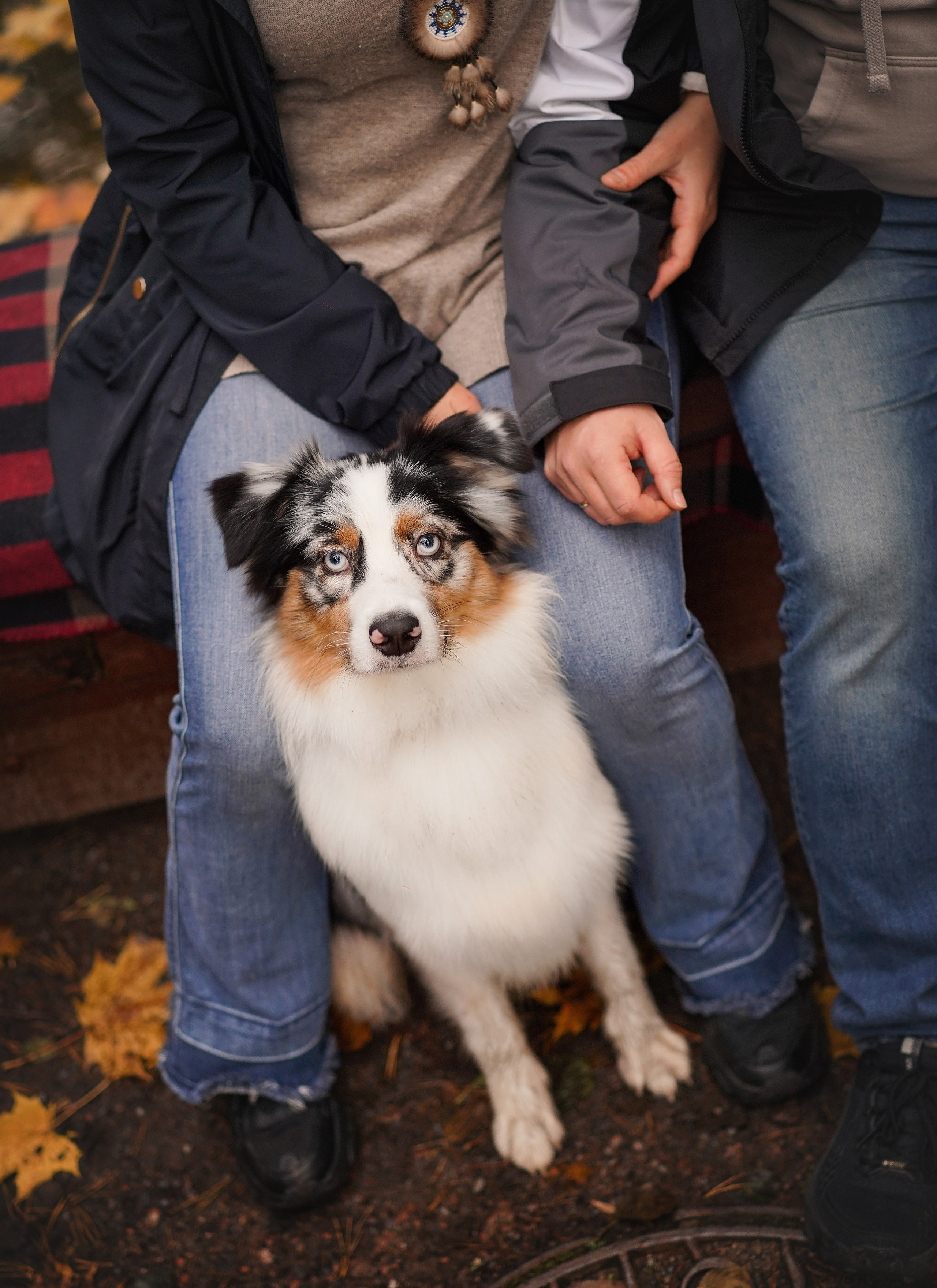 Соня Гавриил и Юкки. Фотограф-анималист в Санкт-Петербурге Яна Мартынова