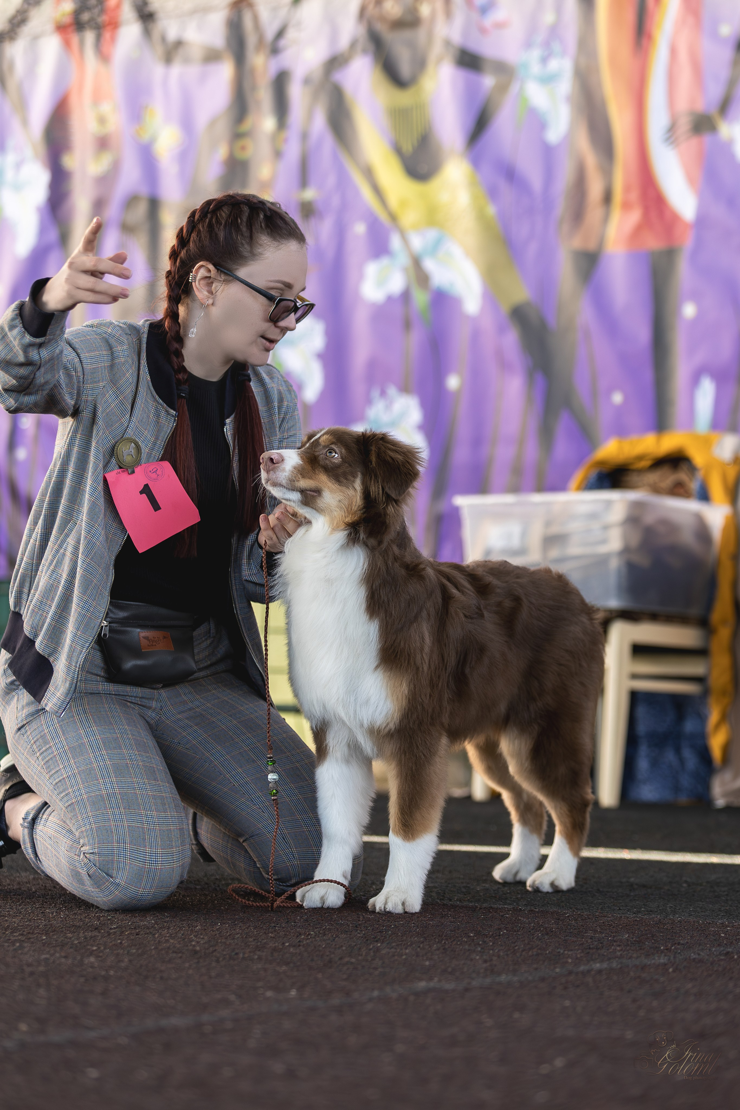 Выставка 25.02.2024. Ирина Голомб|Фотограф-анималист в  Сочи и Калининграде