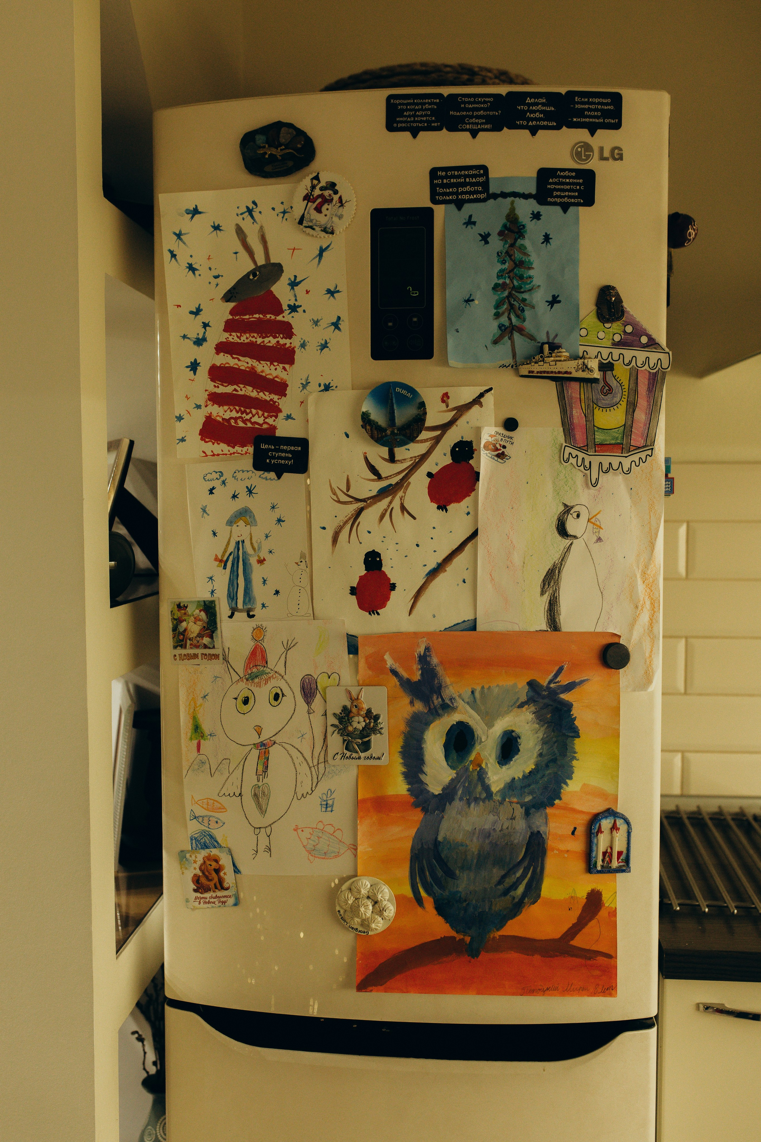 Домашняя история. Meryfotoidea