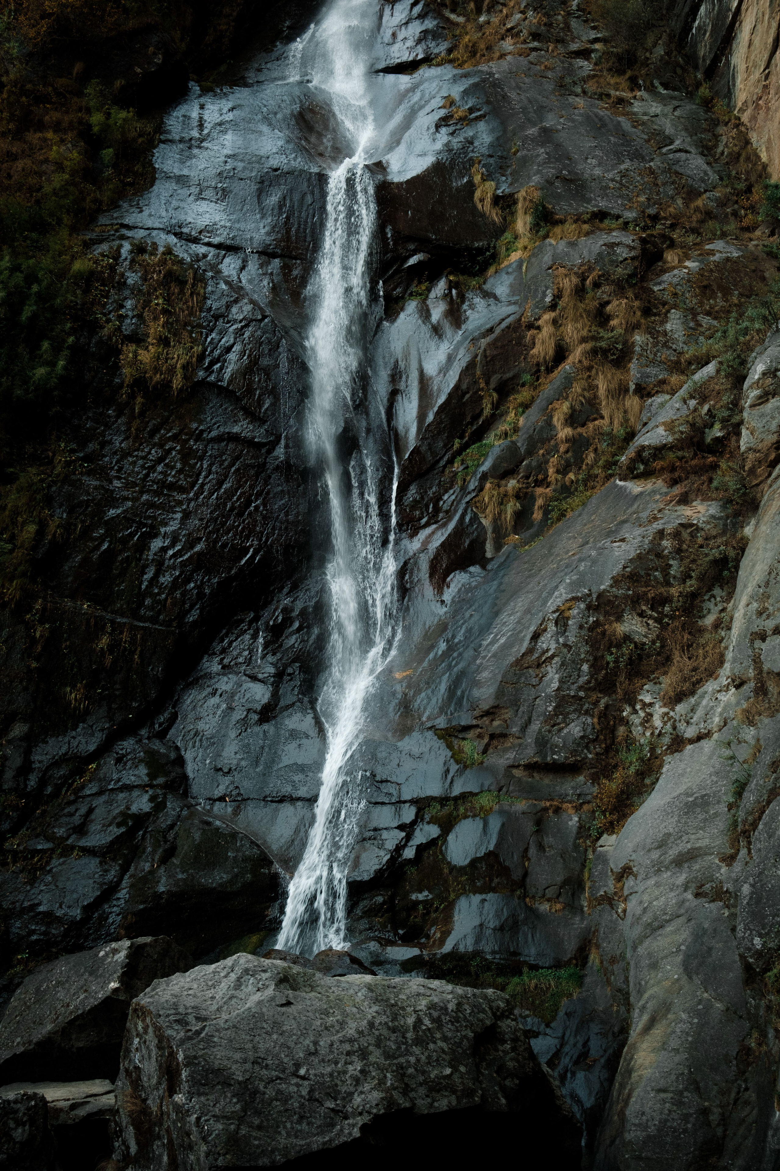 Bhutan. Dmitry Ippolitov