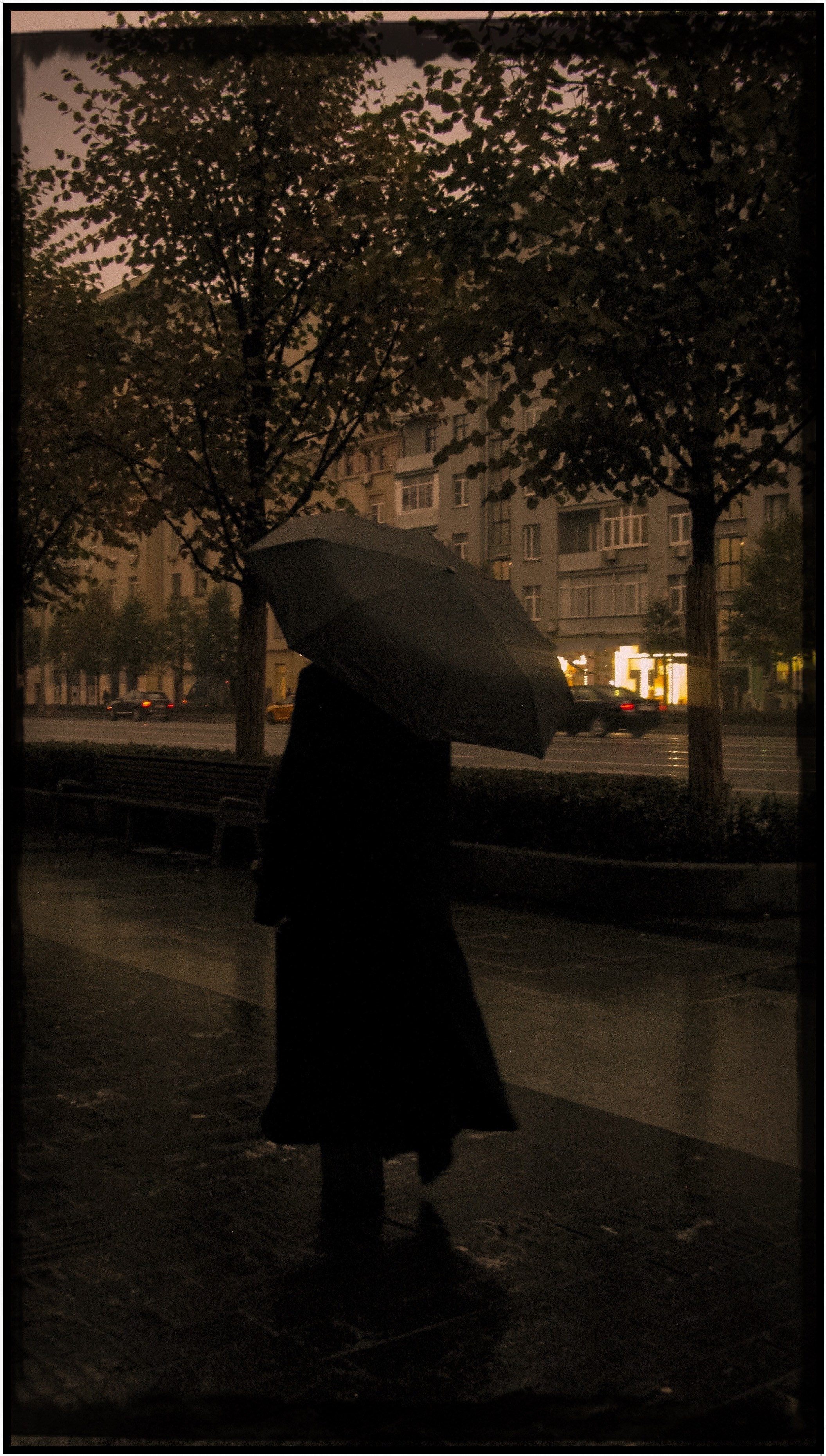 Екатерина. Портретный и свадебный фотограф в Москве Александра