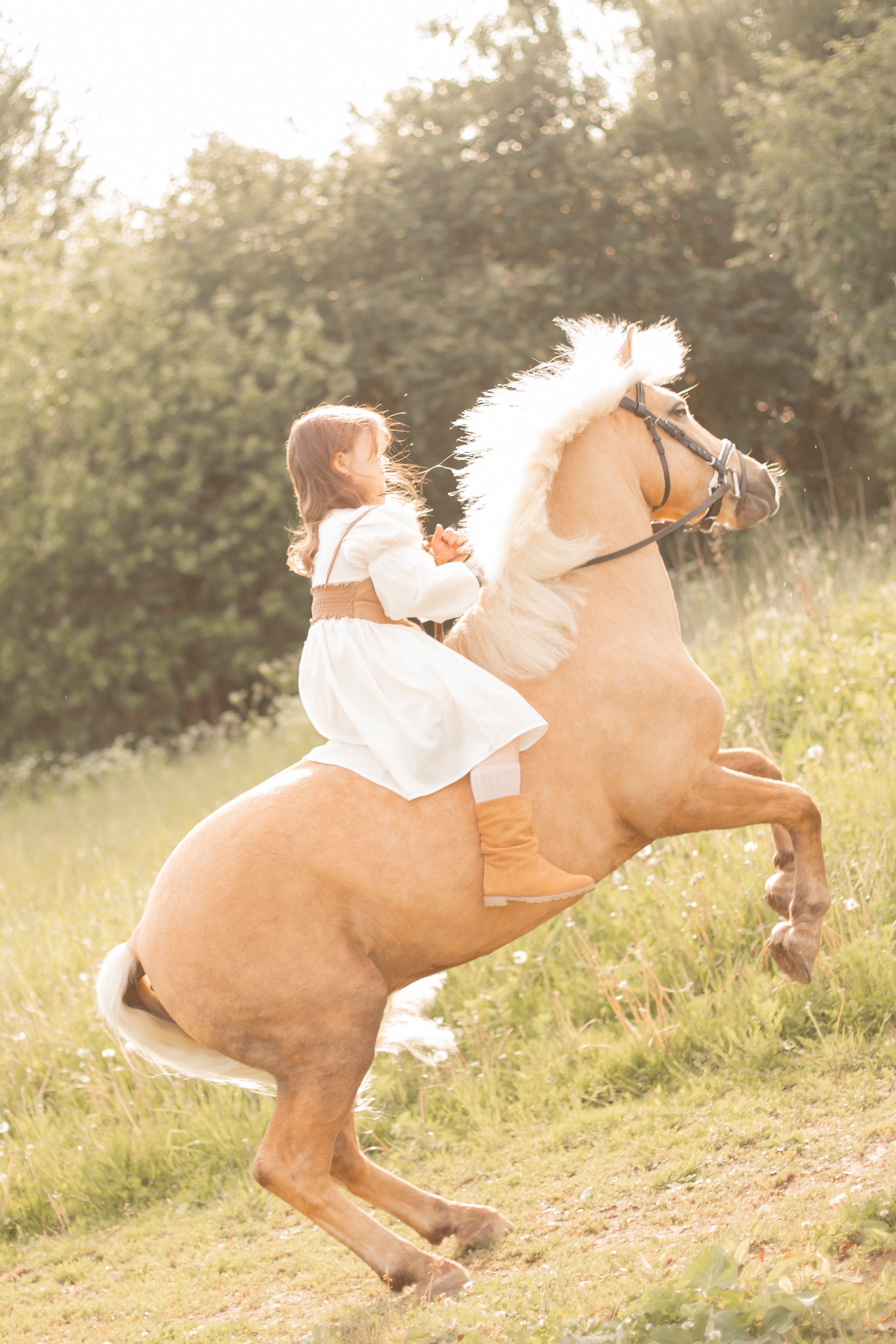 Фотосессия с лошадьми. Семейный и детский фотограф в Москве Татьяна Рос