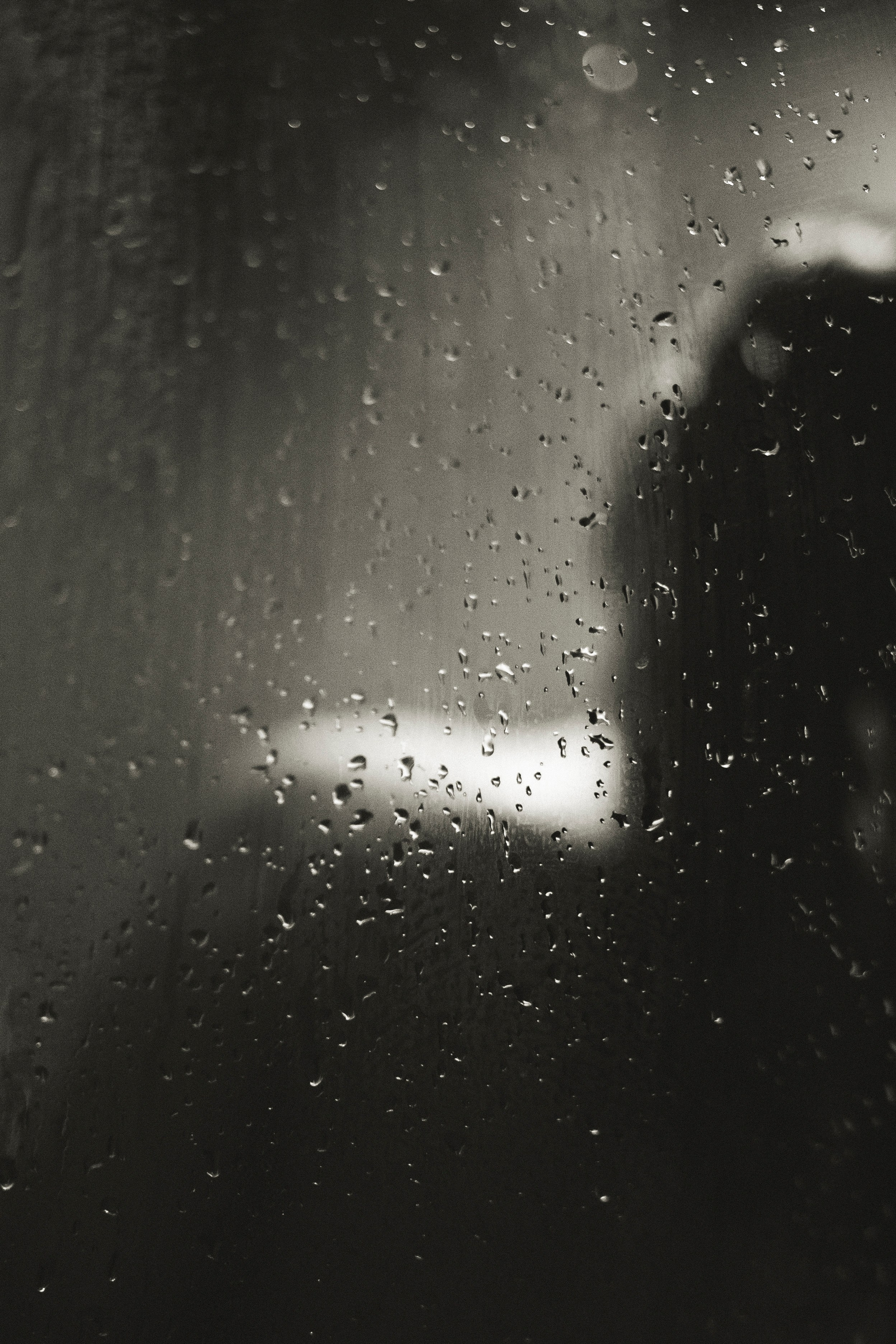 Рита. Фотограф Блинова Арина | Санк-Петербург