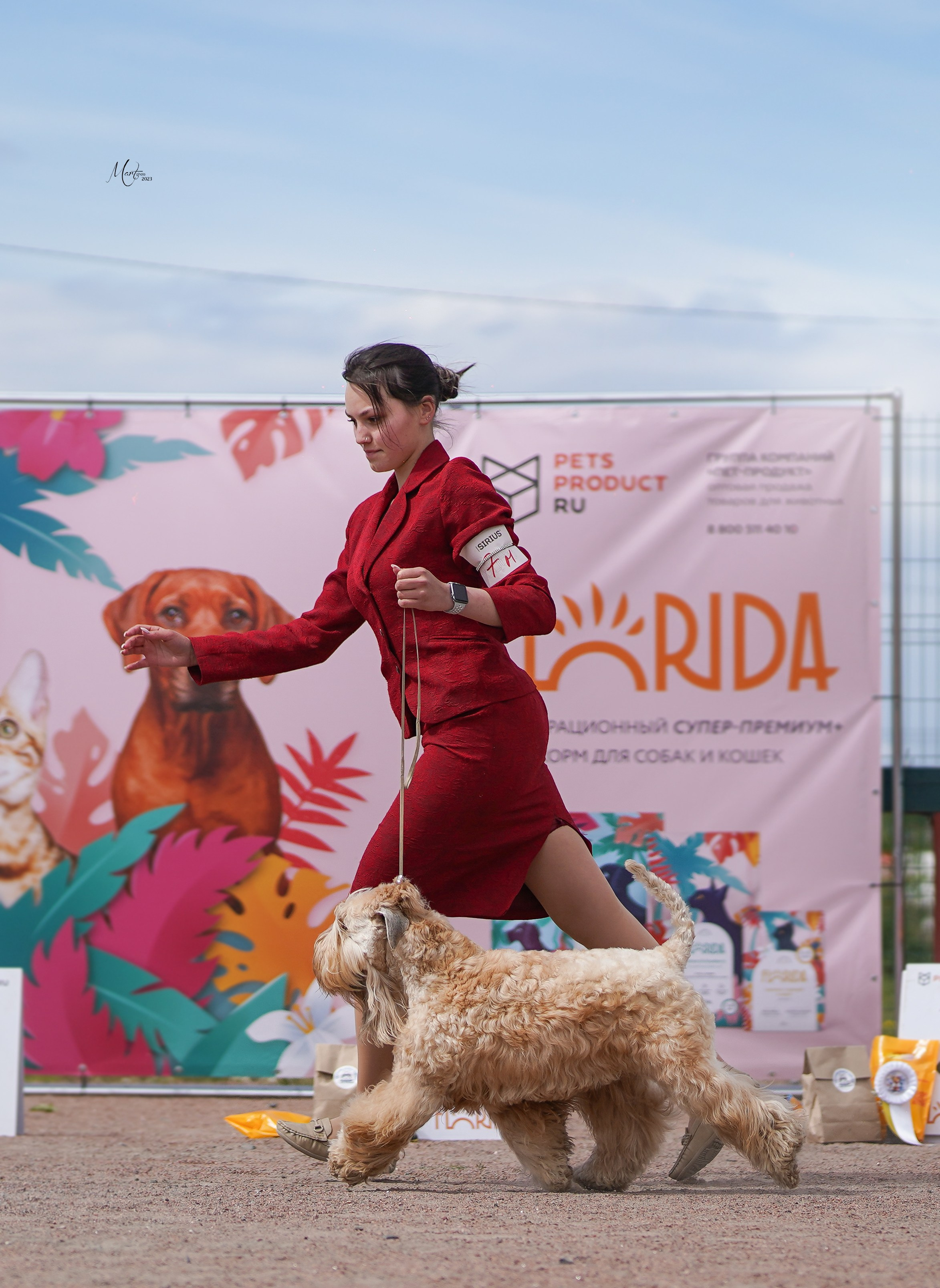 Выставки 2023. Фотограф-анималист в Санкт-Петербурге Яна Мартынова