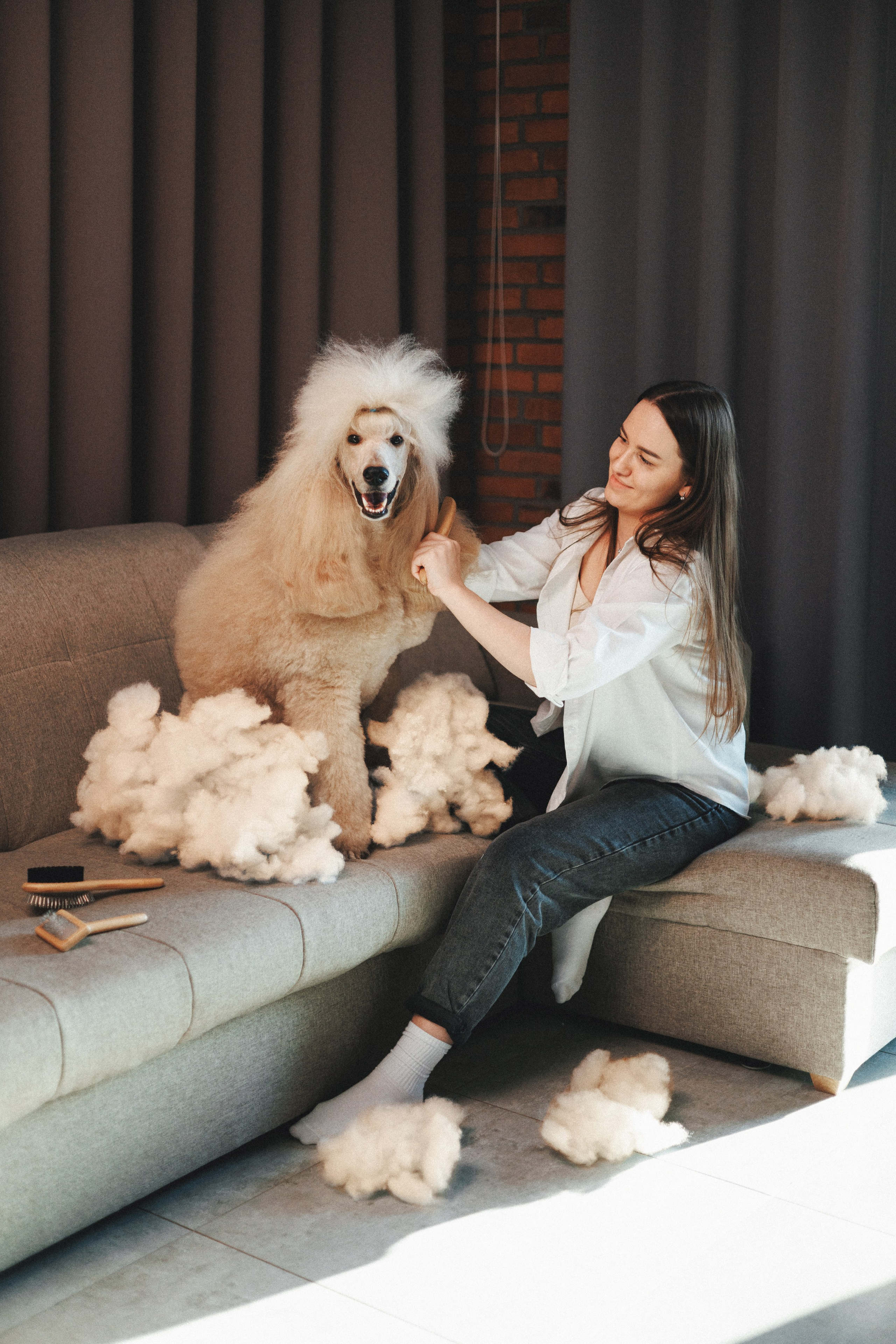 M-Pets. Фотограф анималист Осипчикова Мария