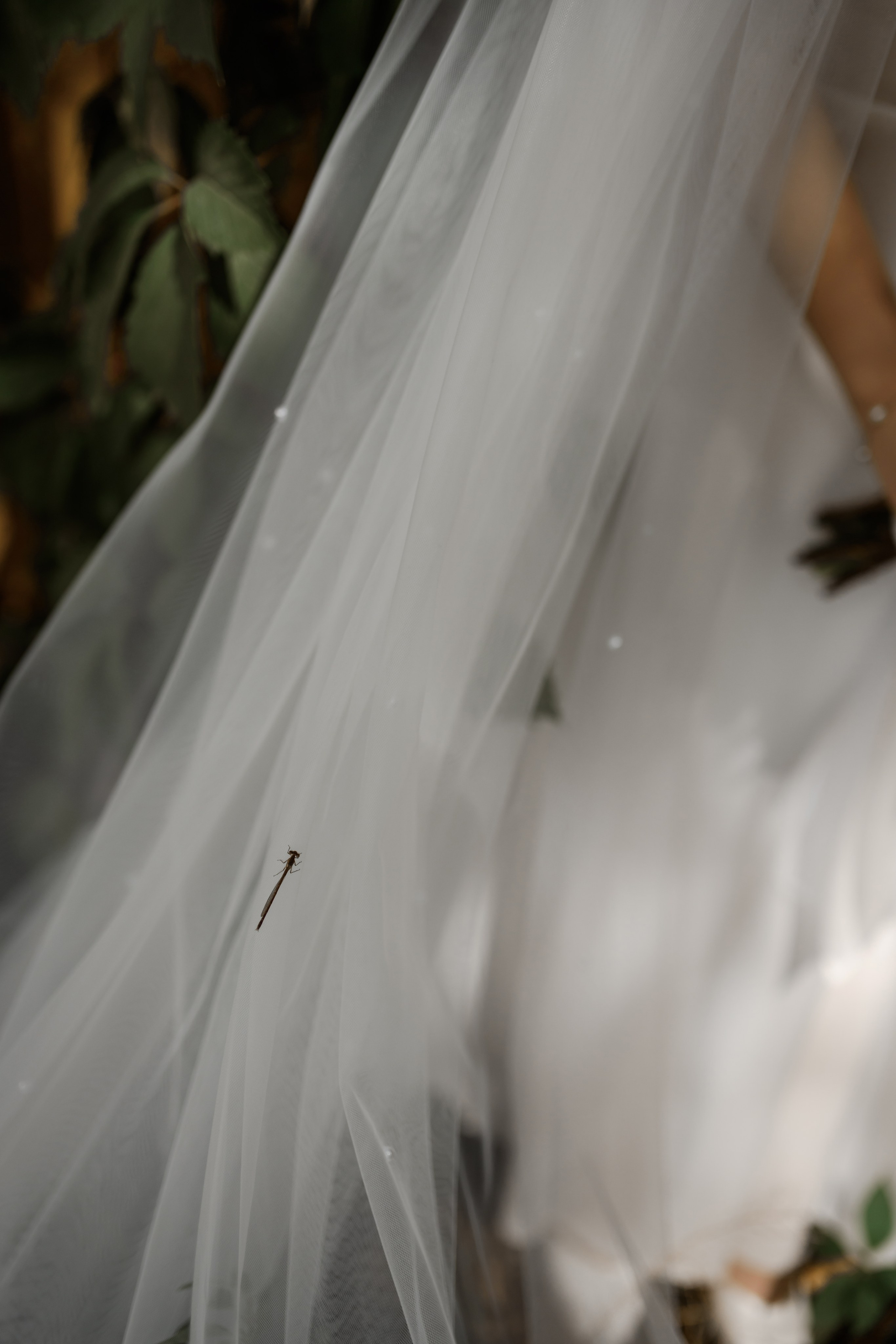 S & A. Свадебный фотограф в г. Астрахань. Так же выезжаю в другие города