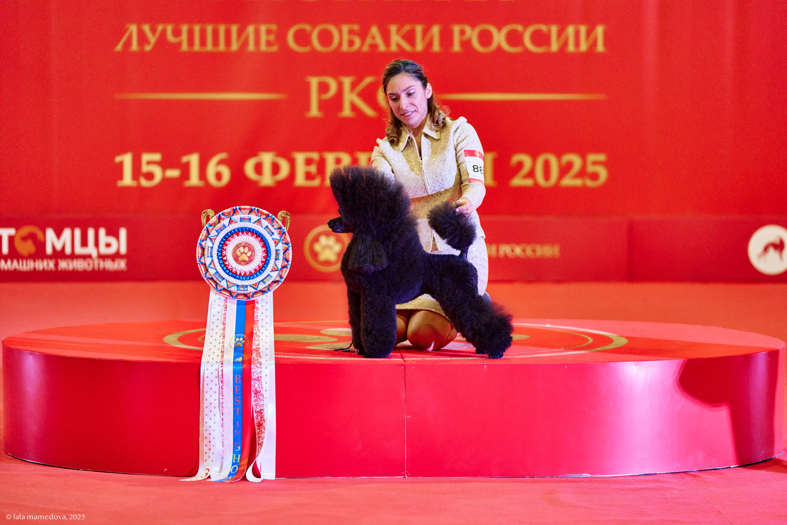 ЛУЧШИЕ СОБАКИ РОССИИ РКФ 2025