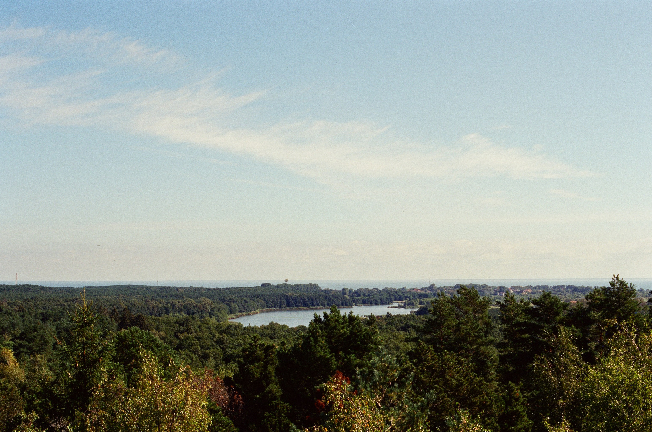 Плёнка🎞️. Фотограф в Москве Ксюшенька