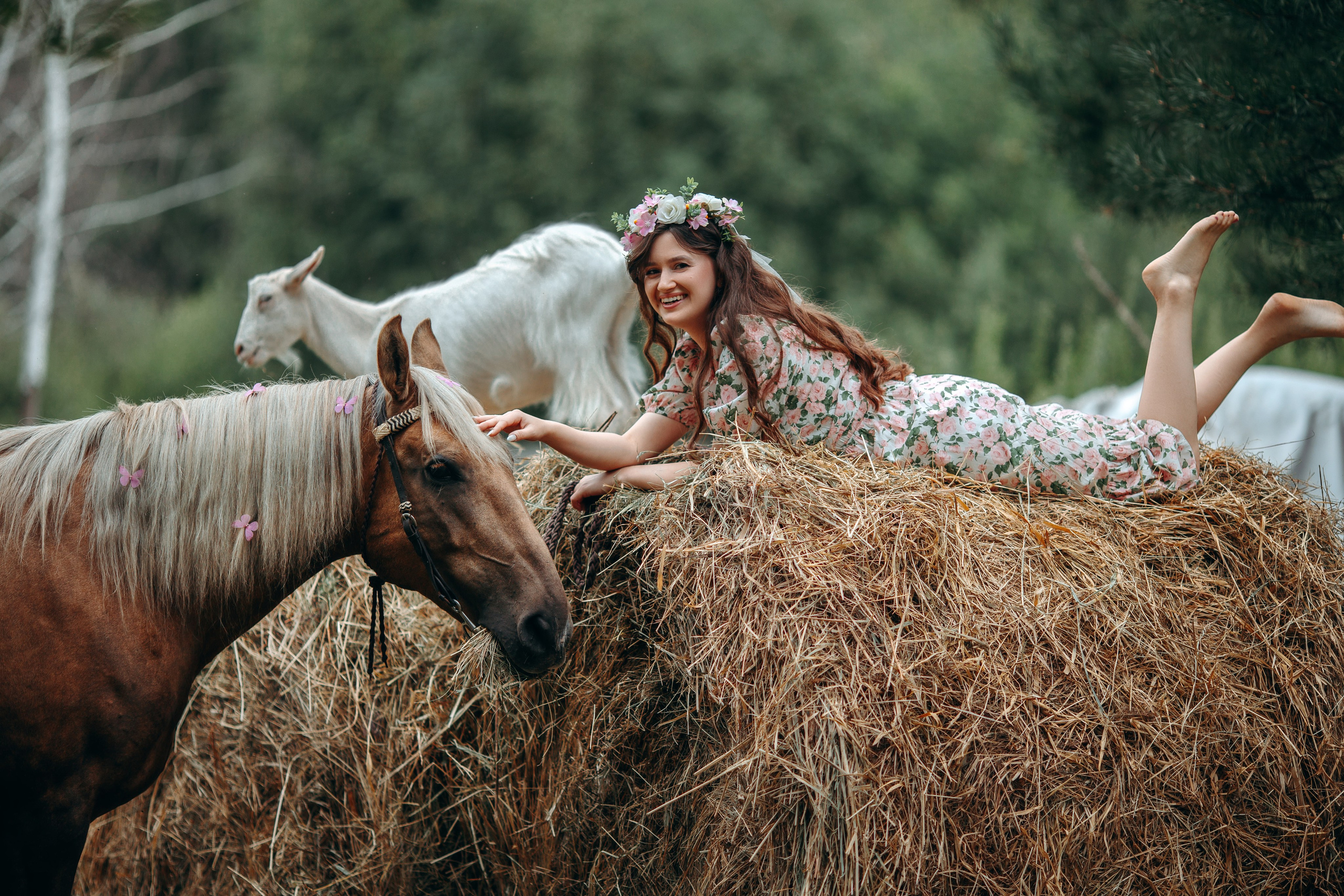 Алена&Забава. Анна Молчанова конный фотограф в Тюмени | фотосессии с лошадьми Тюмень