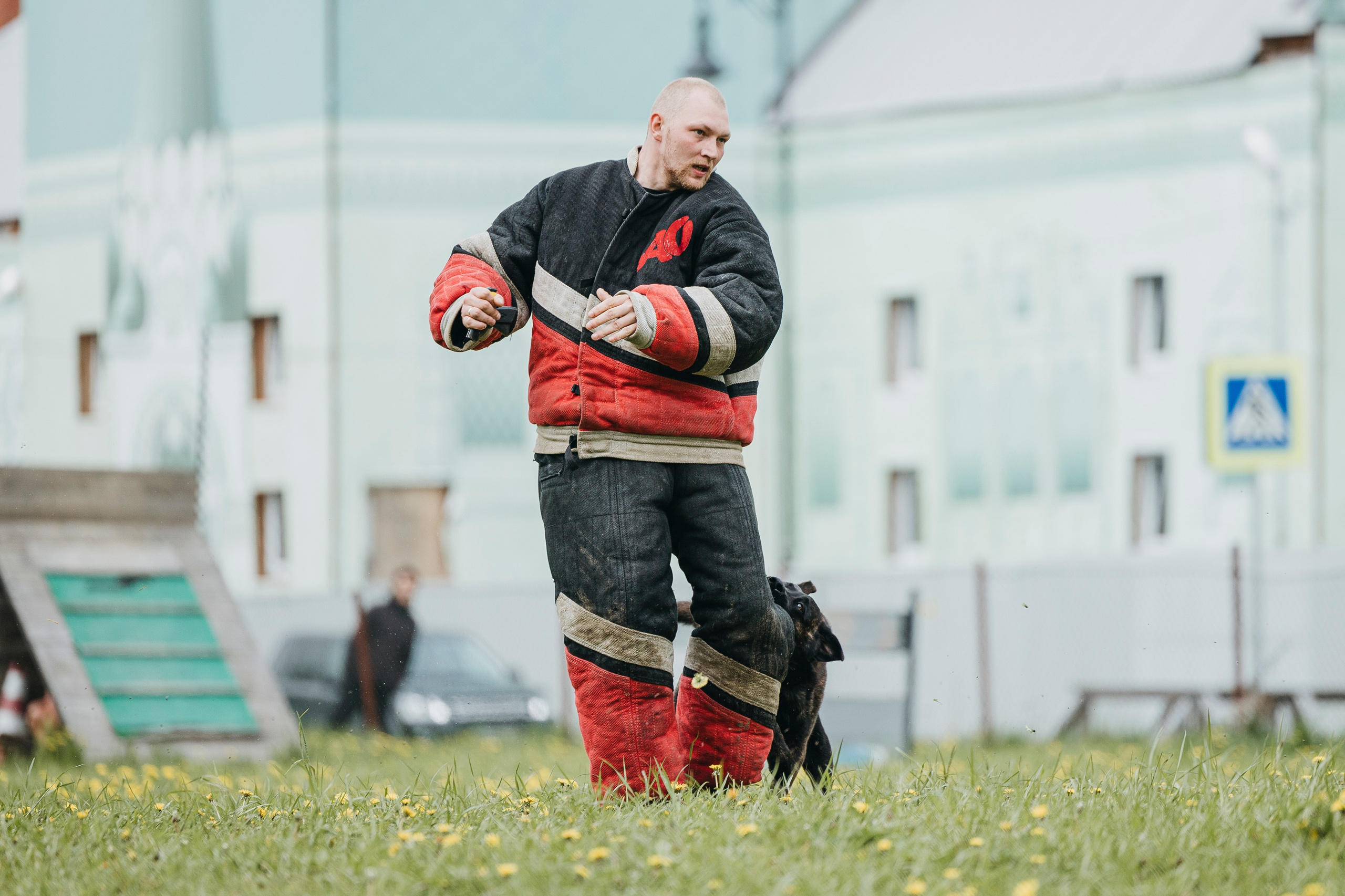 26.05.25 г. Пушкин квалификационные соревнования. Фотограф-анималист Анна Маринич