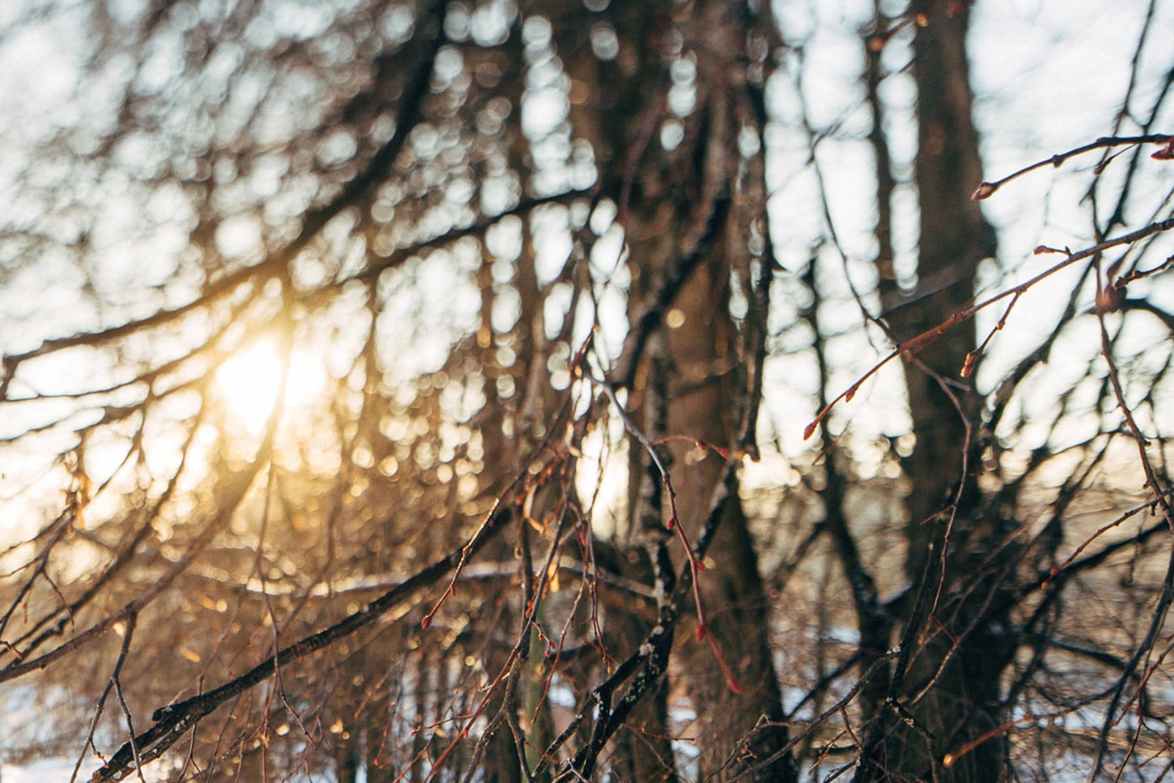 Саша и Настя. Фотограф Константин Пешков