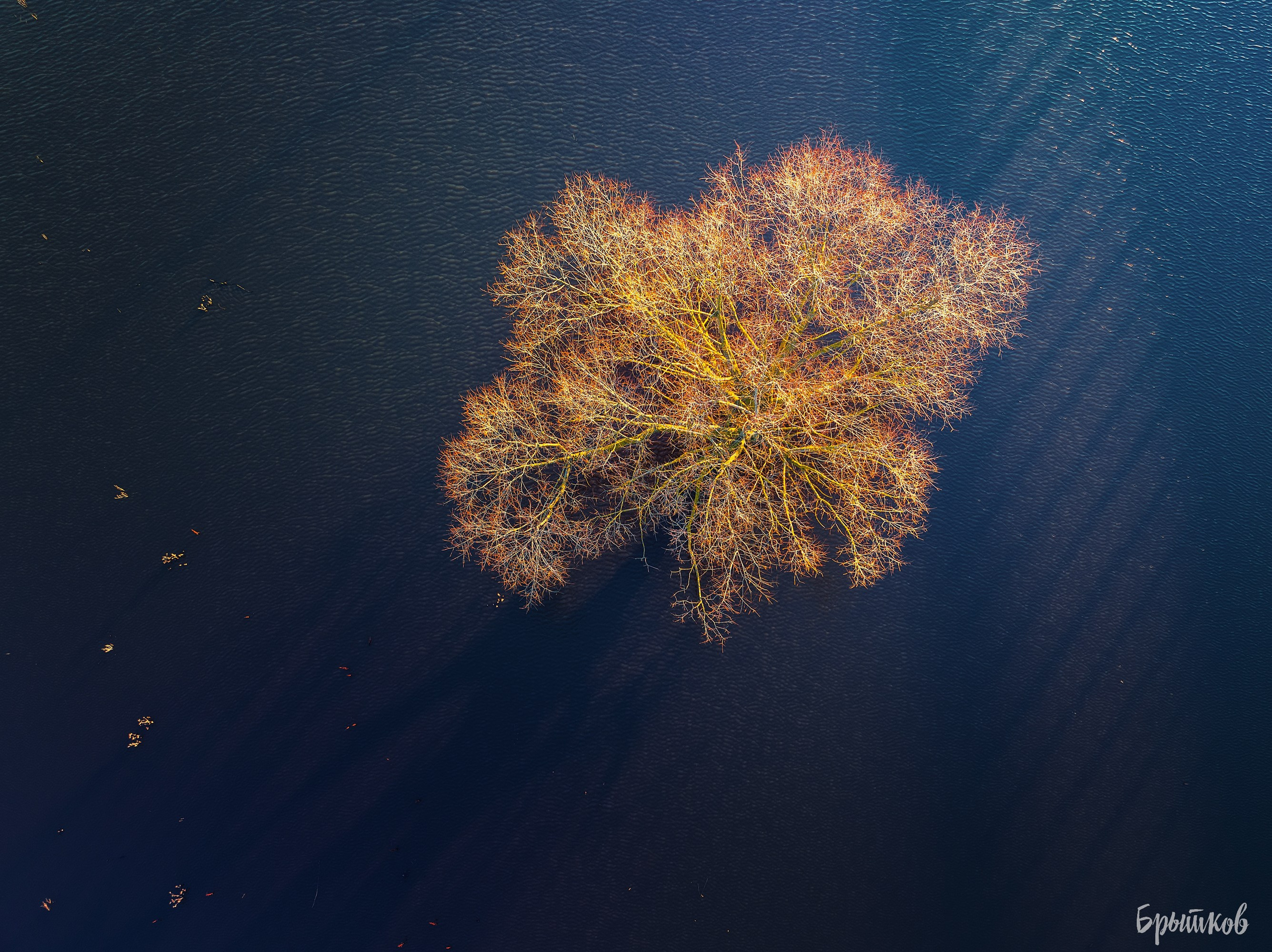 Захаровка. Николай Брытков — фотограф в Туле