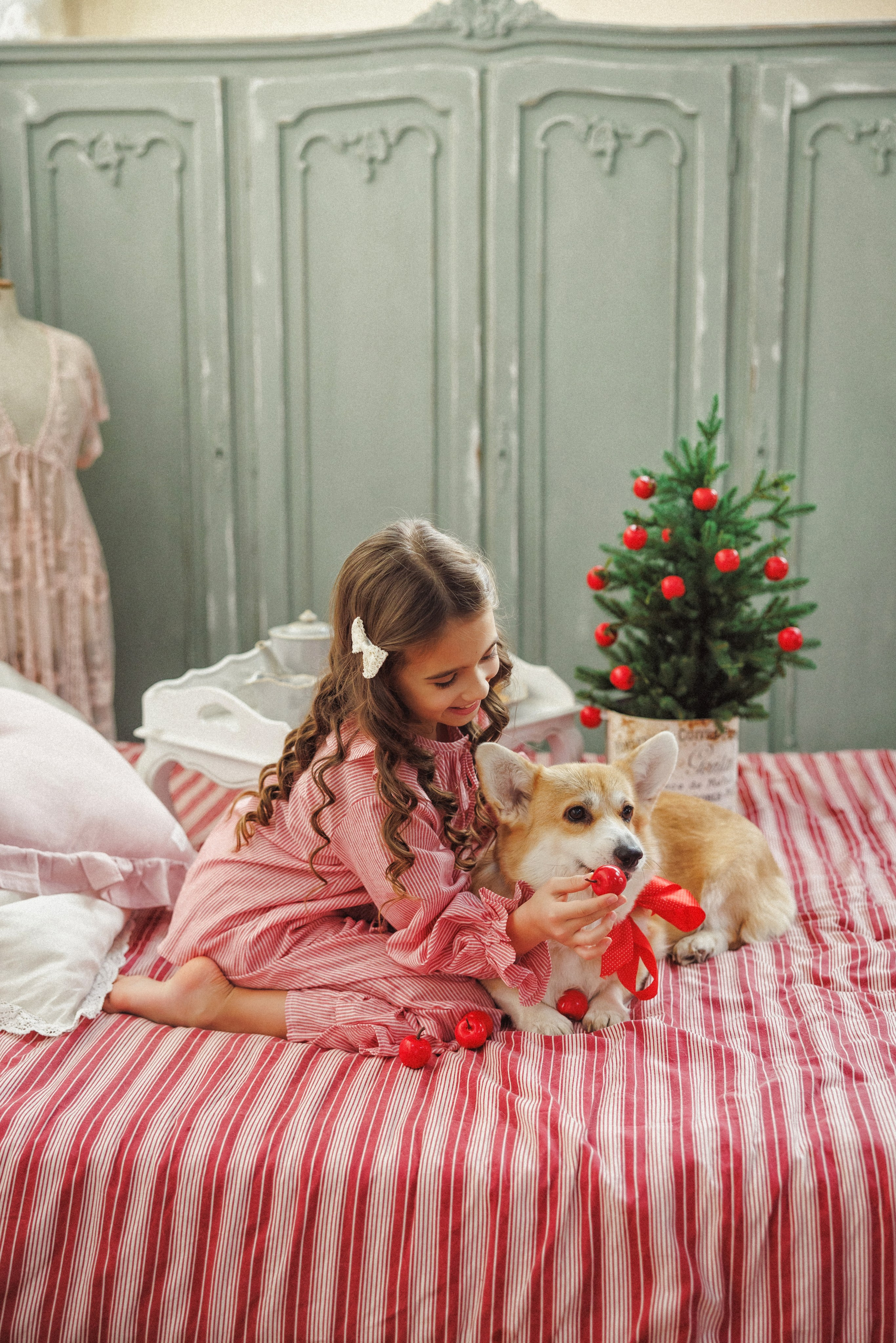 Новогодняя фотосессия с собачками породы Корги, город Краснодар. Семейный и детский фотограф в Краснодаре Анна Трашкова