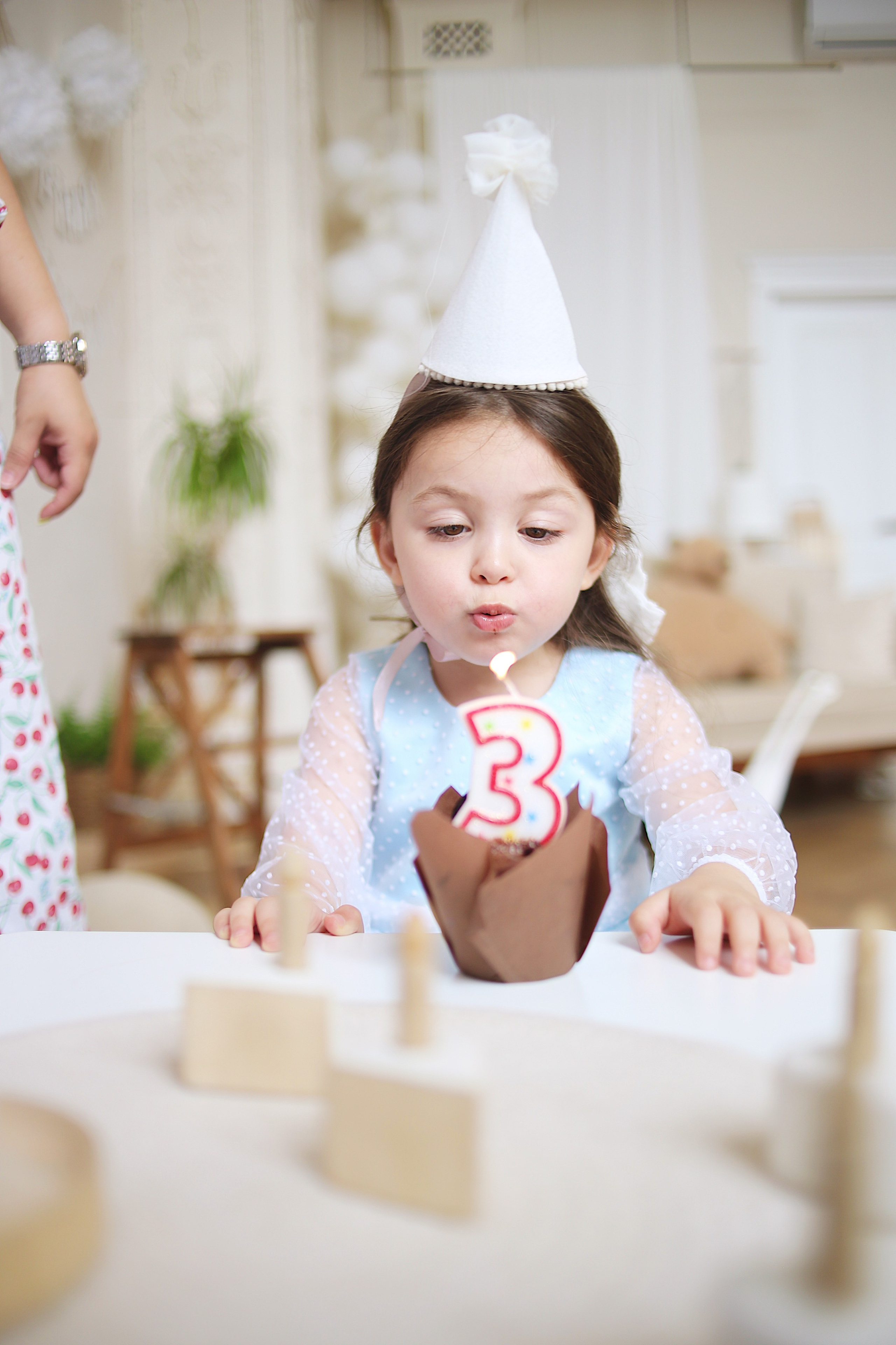 София 3 года. Фотограф Пирумян Анна. г. Сургут, г. Воронеж