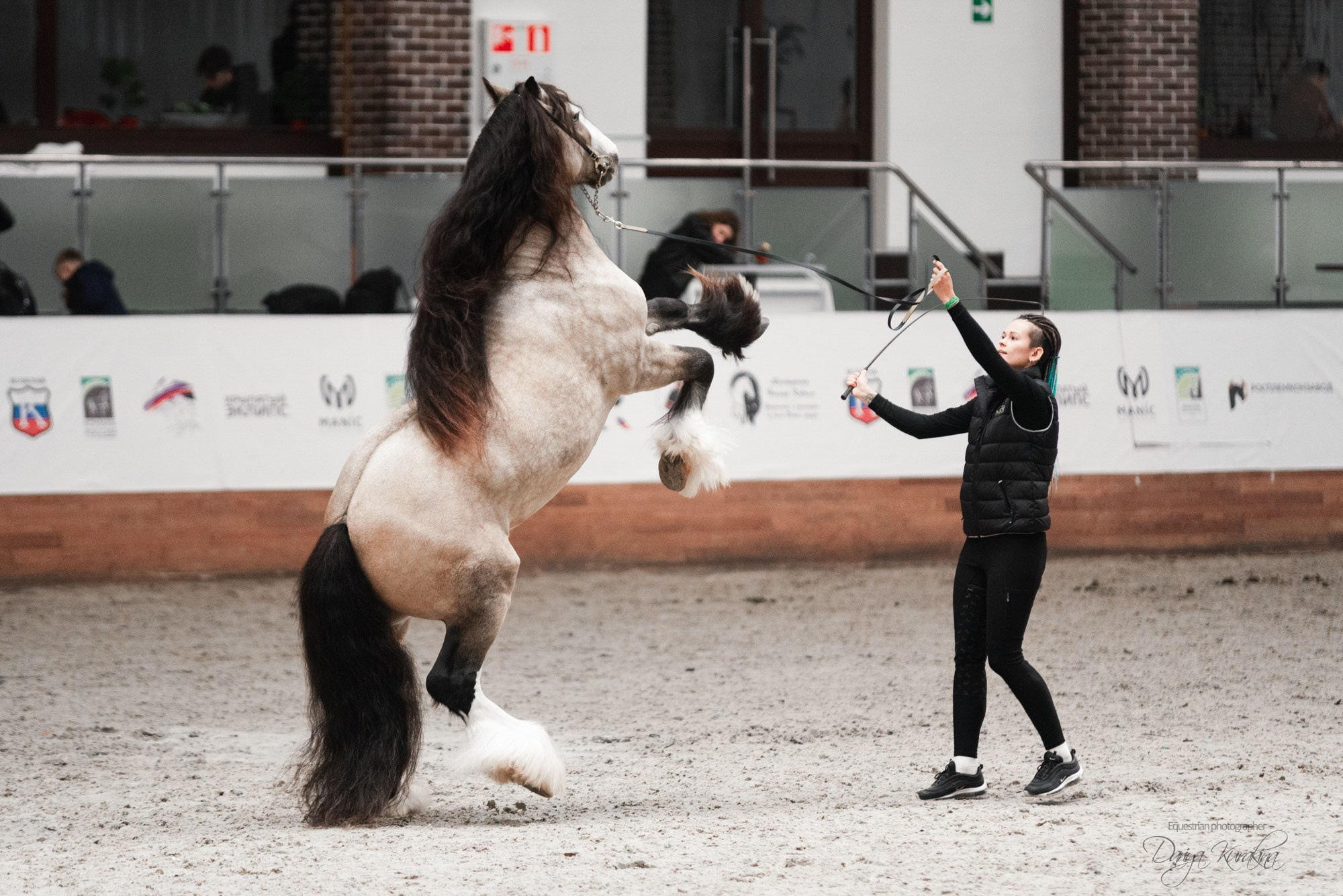 8-я международная выставка Конная Россия. Конный фотограф Куракина Дарья • Фотосессии с лошадьми
