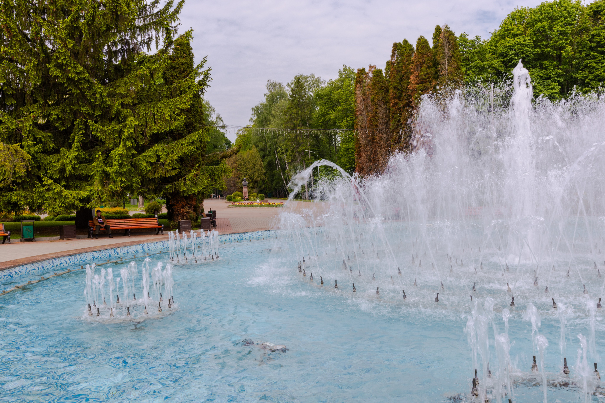 Парк им. П. П. Белоусова г. Тула 2024 г. Фотограф в Туле Крупский АнДРей. Фотостудия «КАДР71» в Туле