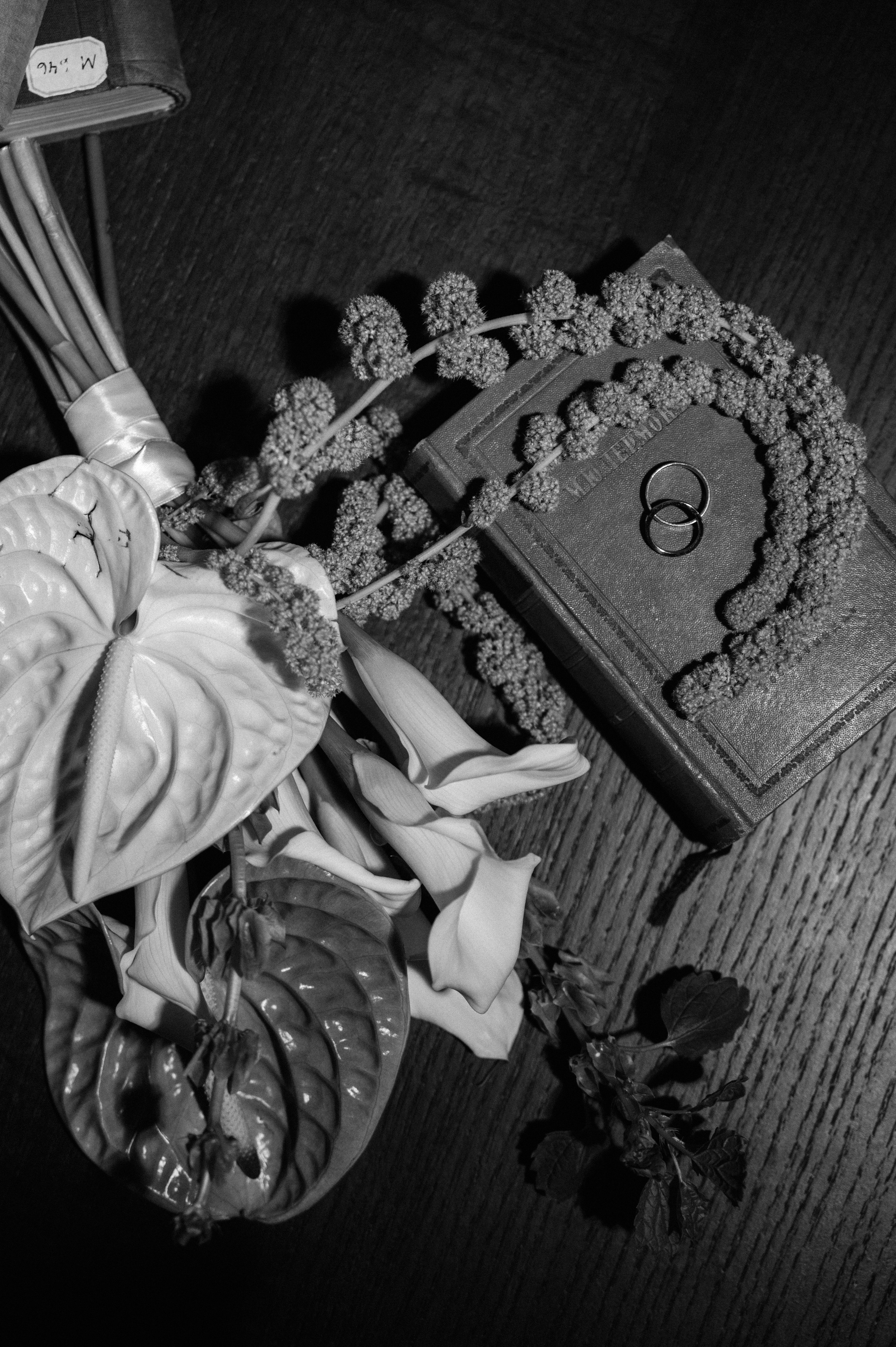 Даша и Даня, 2025. Анна Пушина, фотограф, Москва, Королев, Пушкино