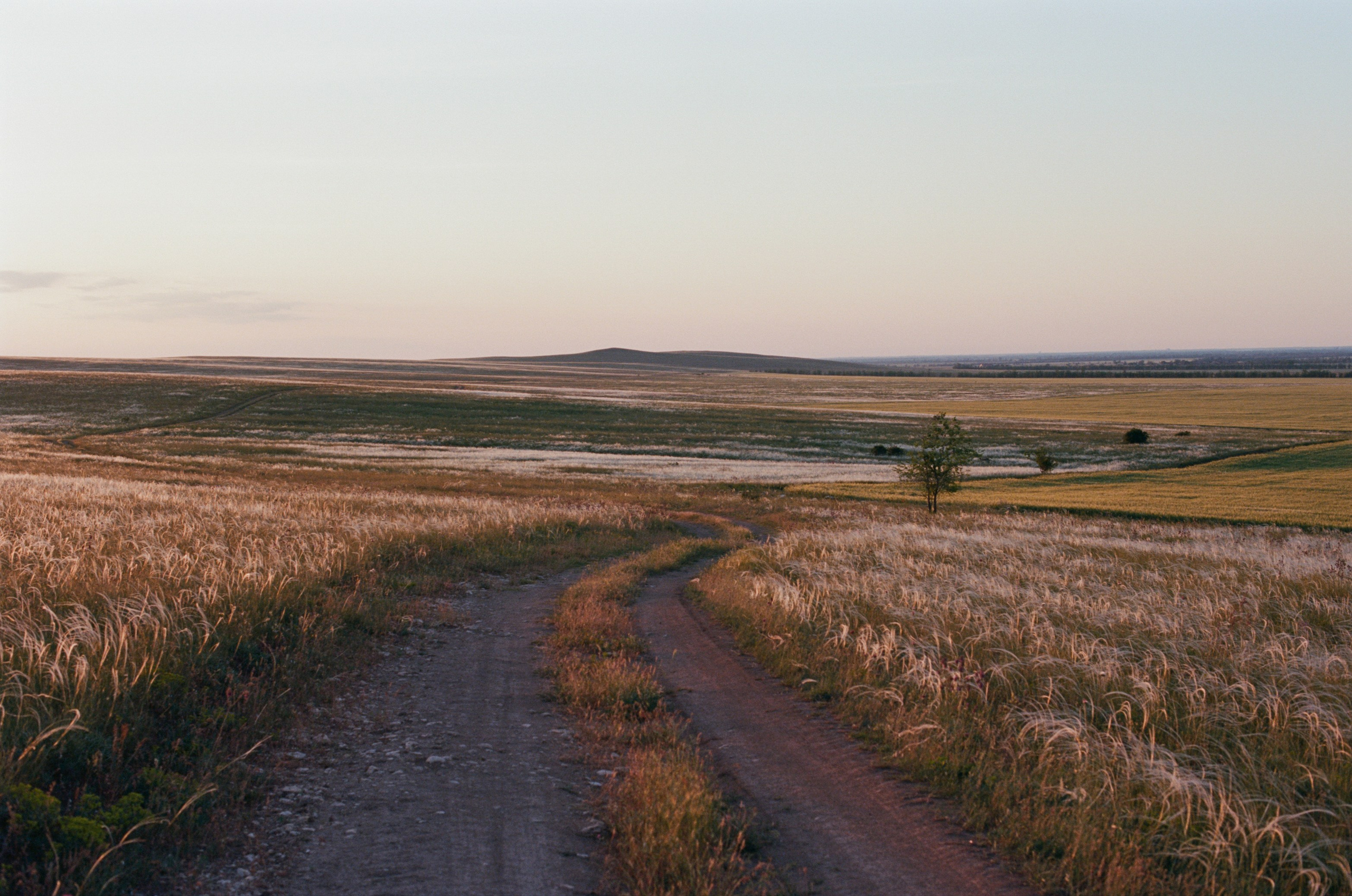 Champagne supernova // ukraine, crimea II. EVER EXPOSED